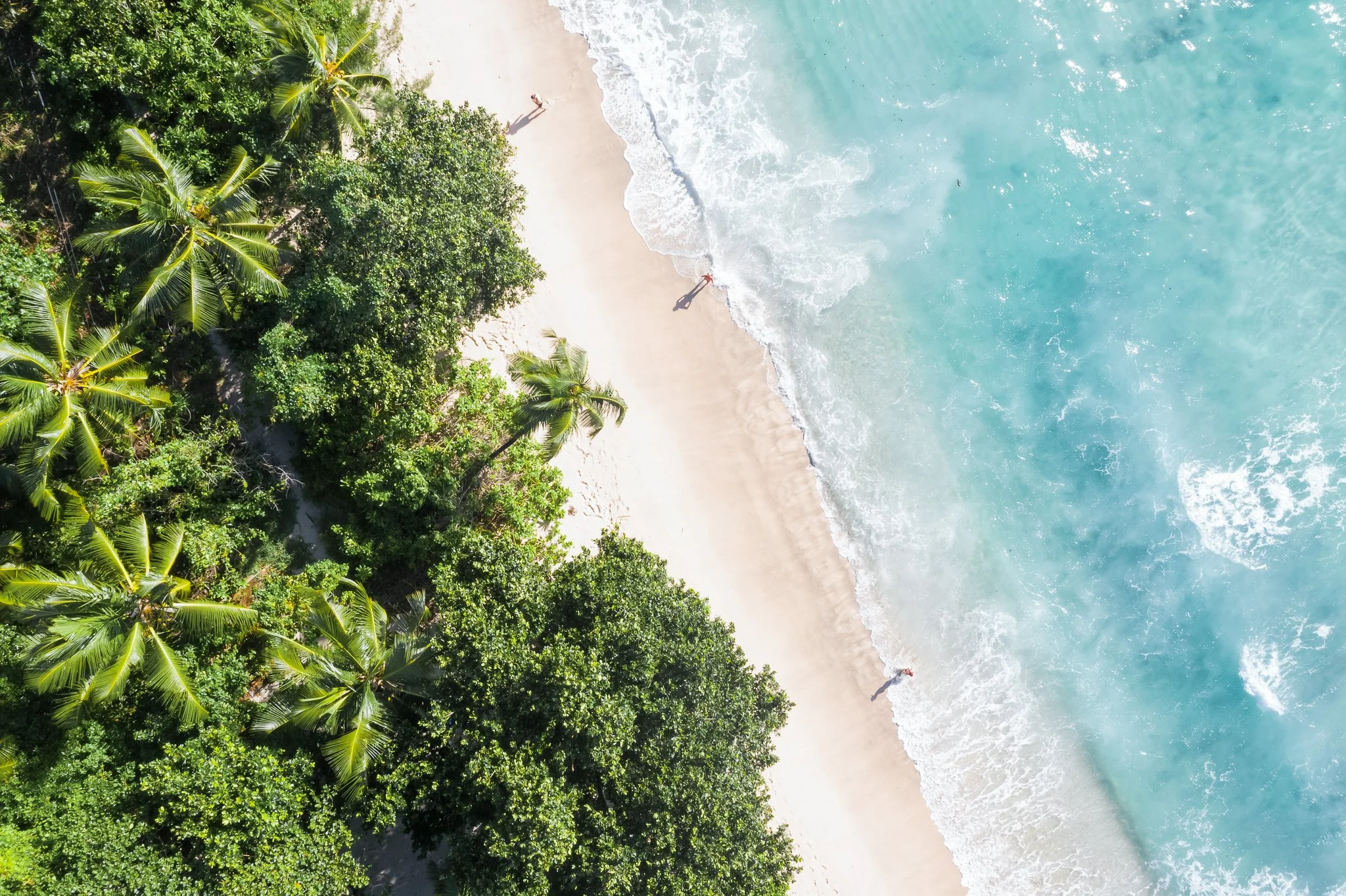 An aerial view of a tropical beach with green trees on the left, a sandy shore in the middle, and clear blue ocean water on the right. Two people are walking along the shoreline.