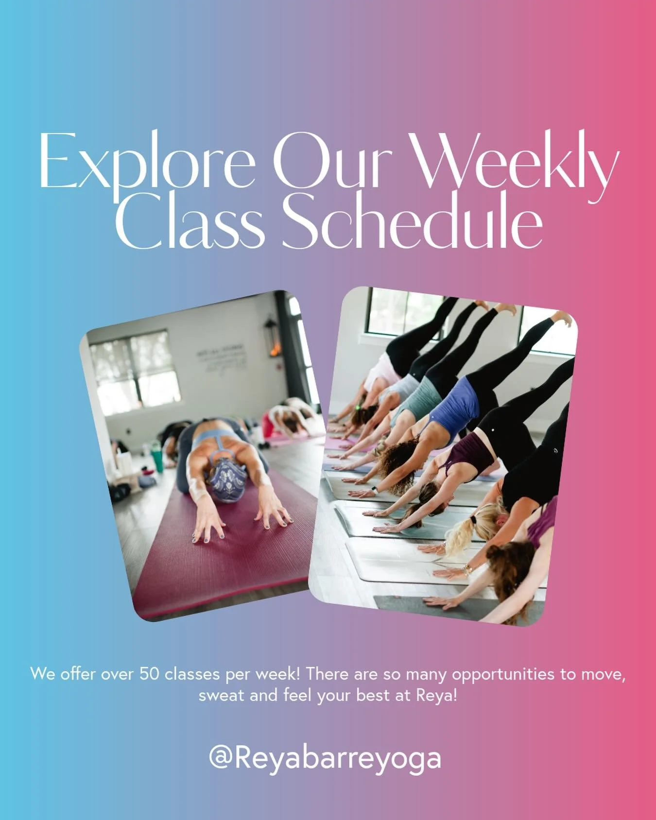 Explore Our Weekly Class Schedule

With over 50 classes each week, there are so many opportunities to move, sweat, and feel your best at Reya. From hot power yoga and sculpt classes to Pilates mat and slower flows, our schedule is designed so you can