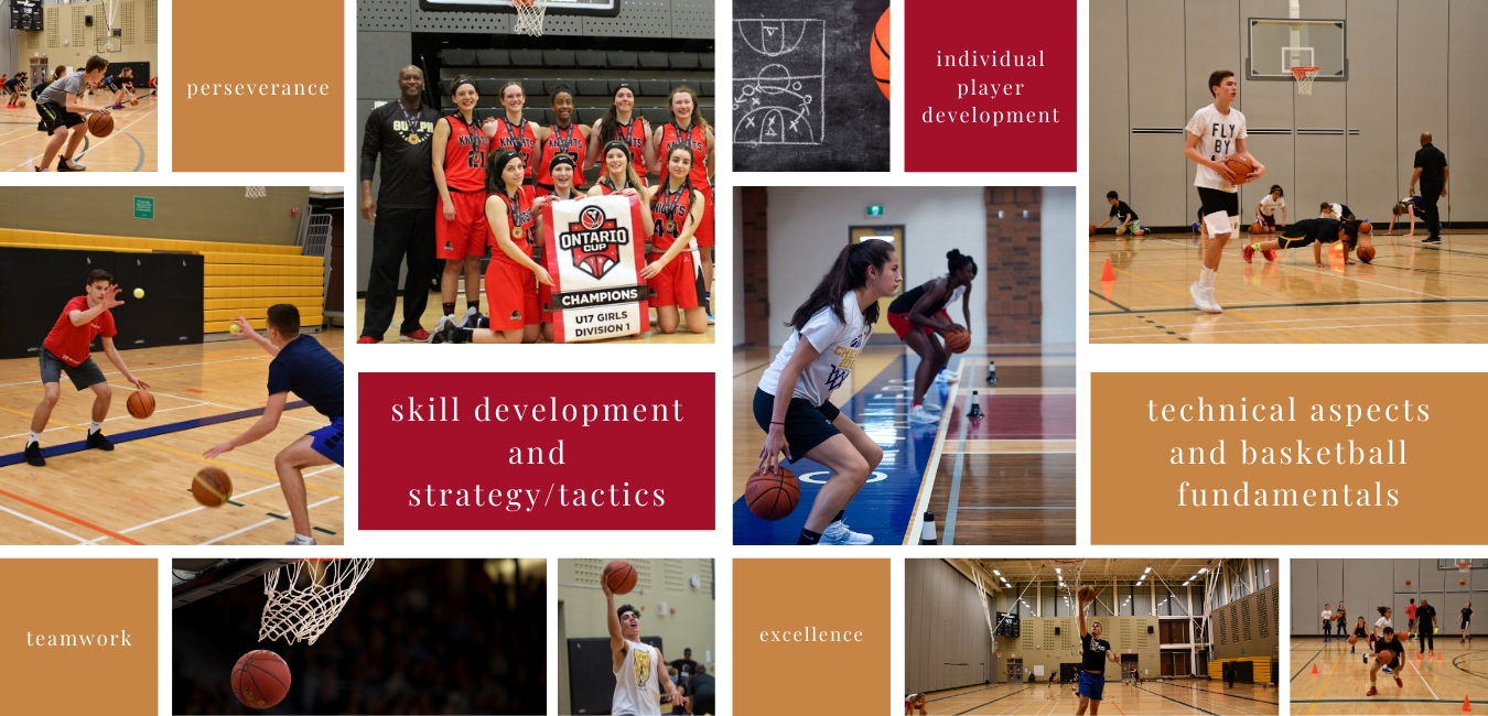 REP Basketball Program in Guelph, ON — Guelph Knights Basketball