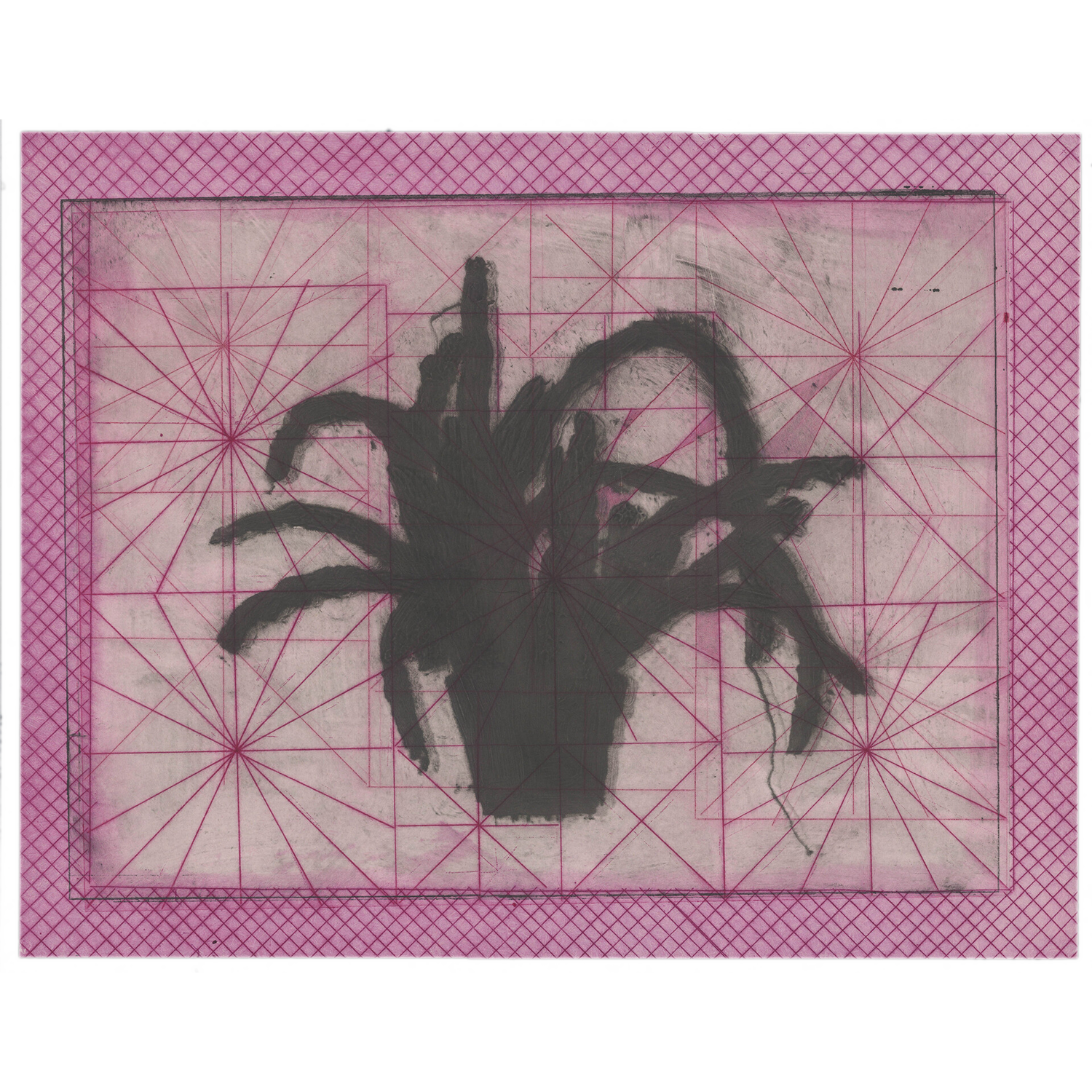 Nora Pauwels
“Plants for the Future -Epiphyllum 17”,
intaglio- etching / carborundum, 2026, 18˝ x 24˝