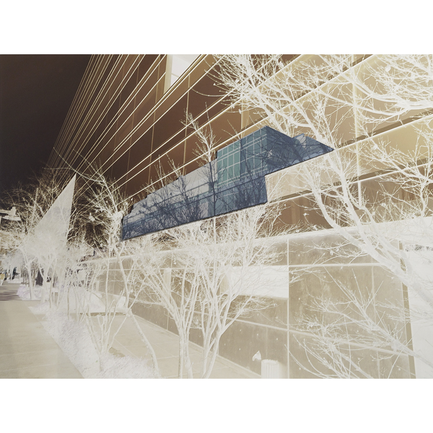 “Through Winter Trees”, pigment print transfer on wood, 2025, 15˝x20˝x1/8˝