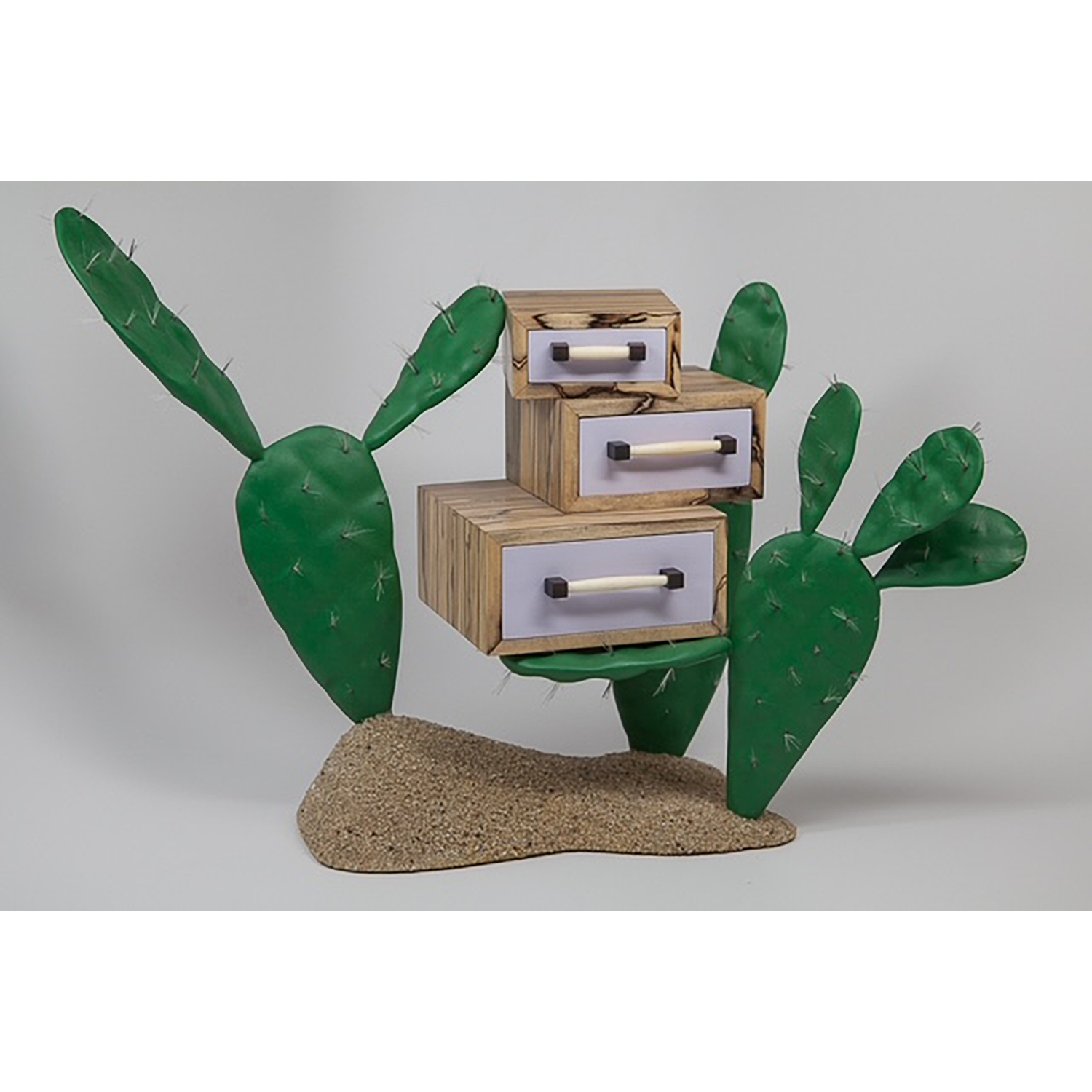 Alison McLennan
“Cactus Jewelry Safe #1”
carved MDF, spalted poplar, Colorcore laminate, bone, paint, Bondo, sand, hairbrush bristles, 2017, 14˝ x 18˝ x 8˝