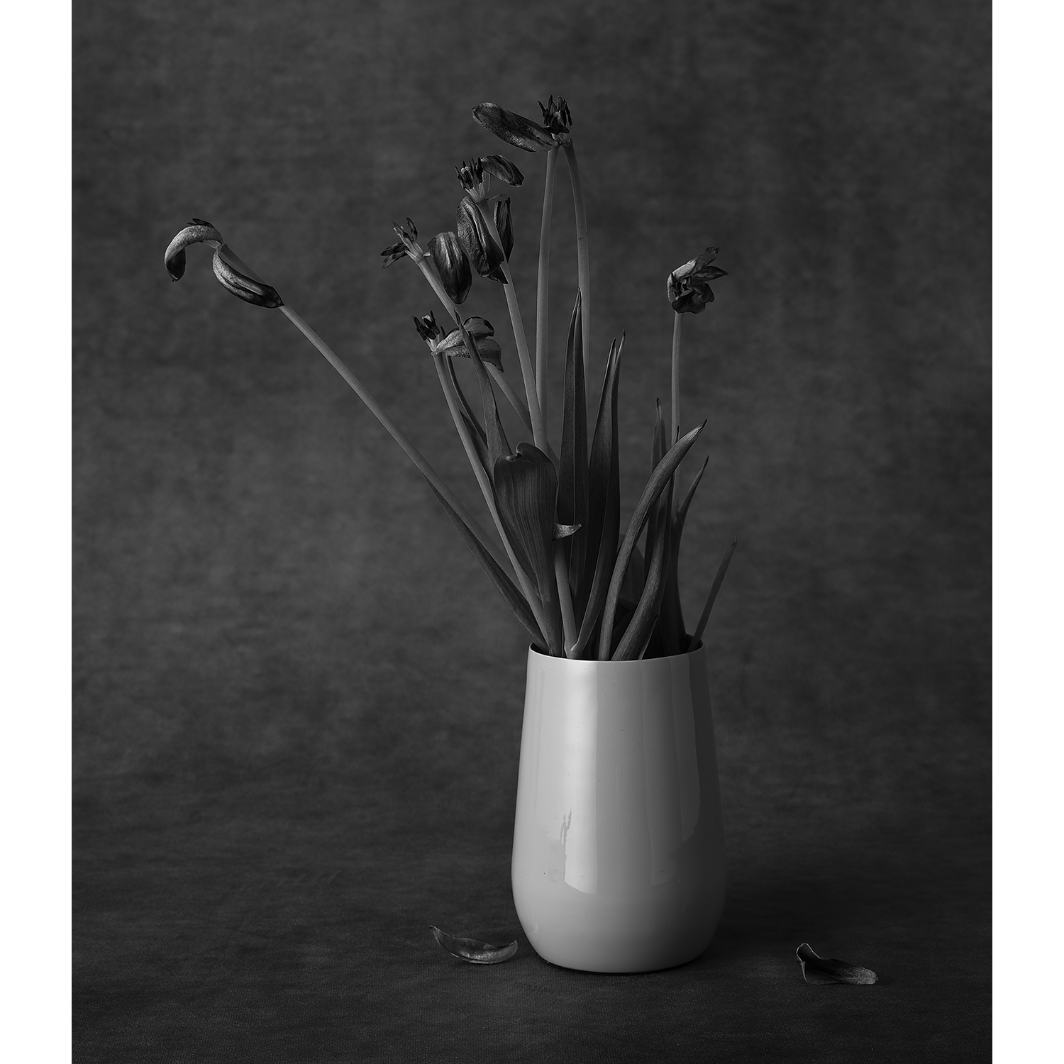 Richard Greenstone