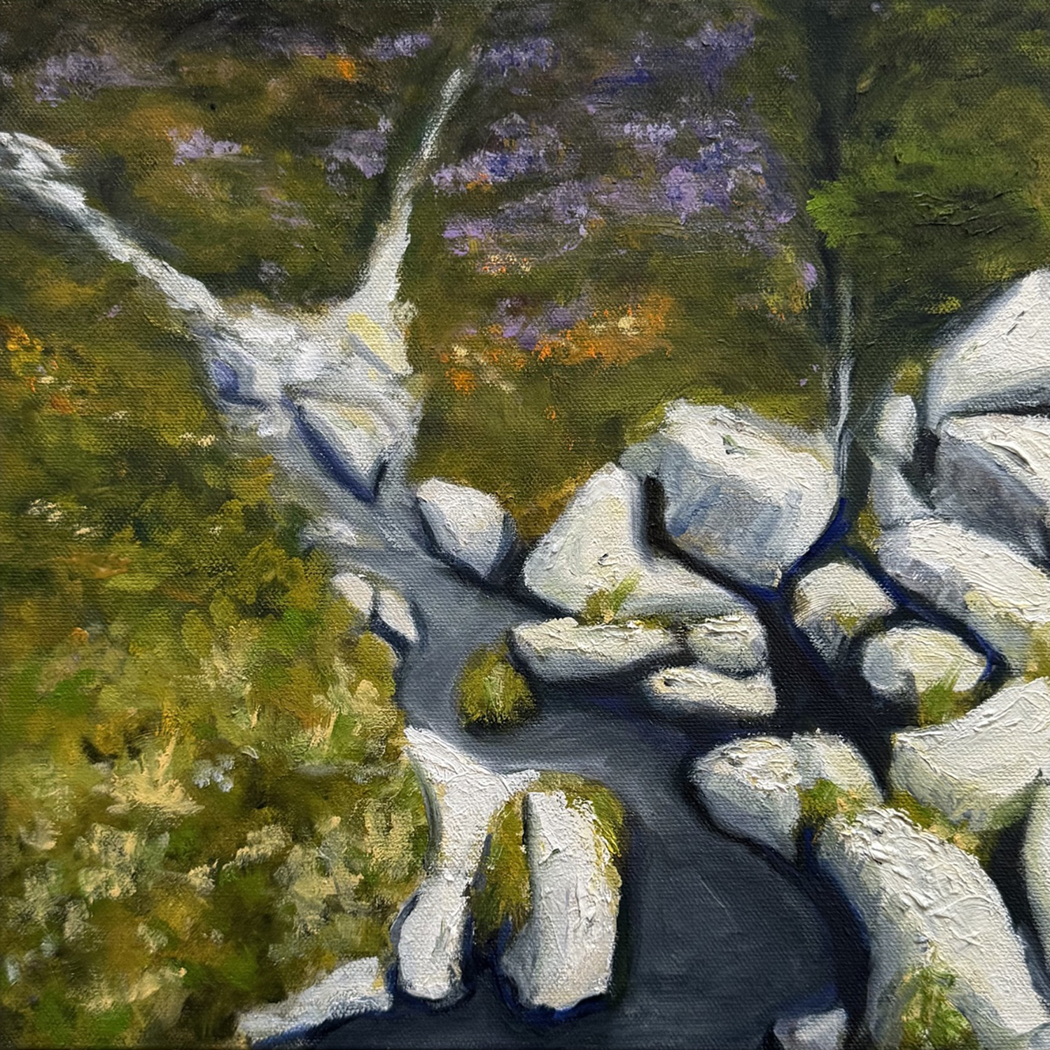 Paul Lee
“Wicklow Mountain Stream”,
oil on canvas, 2026, 12˝ x 12˝