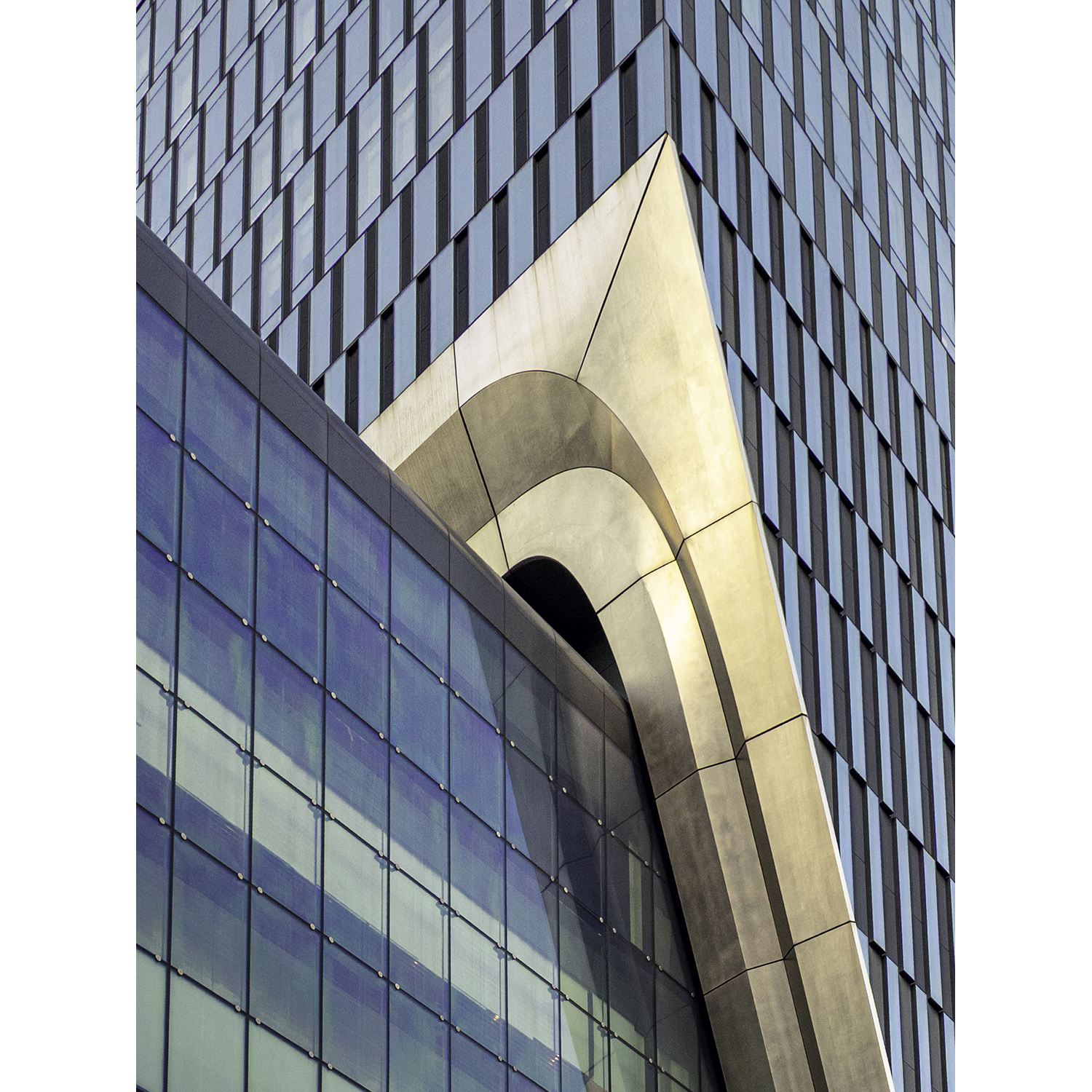 Addie Jenkins
“On Point”,
archival pigment print, 2025, 24˝ x 20˝