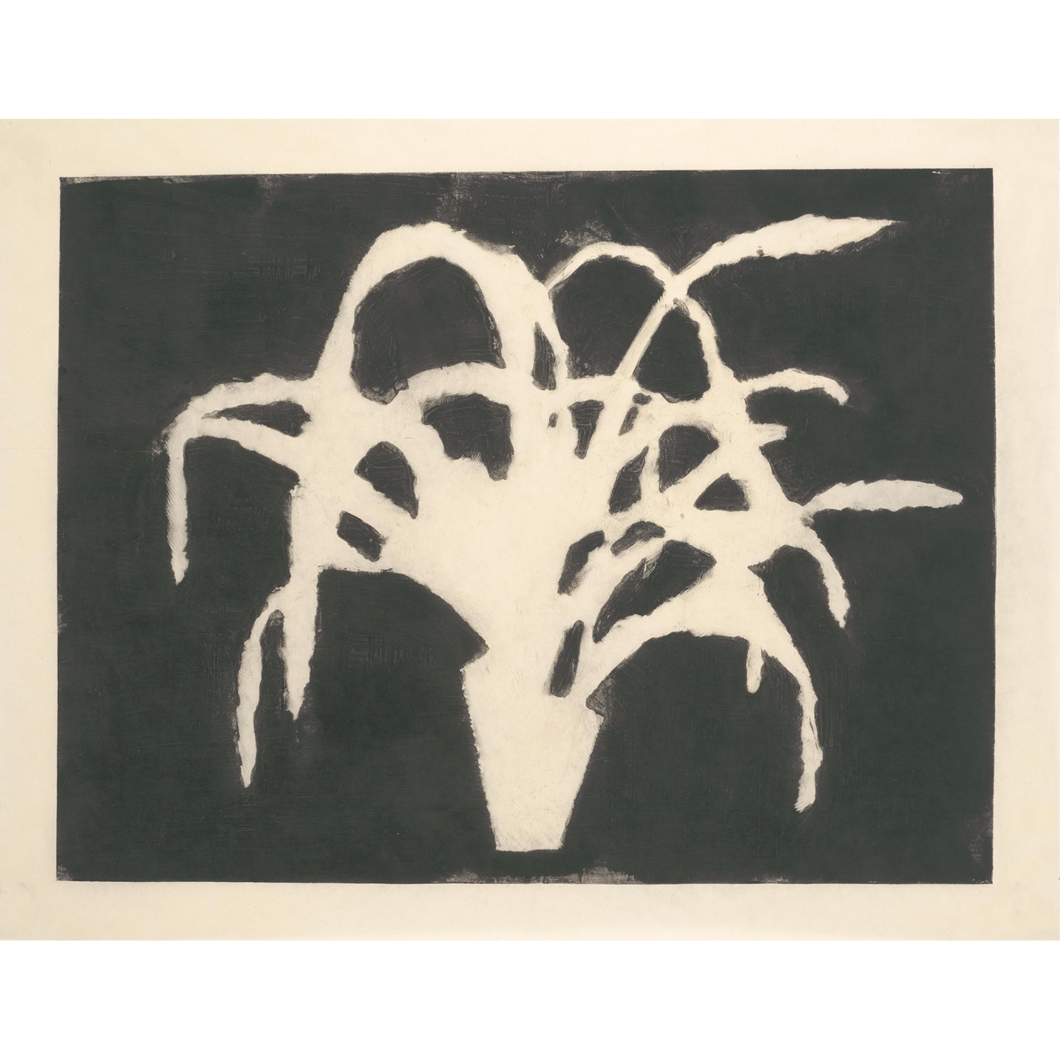 Nora Pauwels
“Plants for the Future - Epiphillum 19”,
carborundum print, 2026, 18˝ x 24˝
