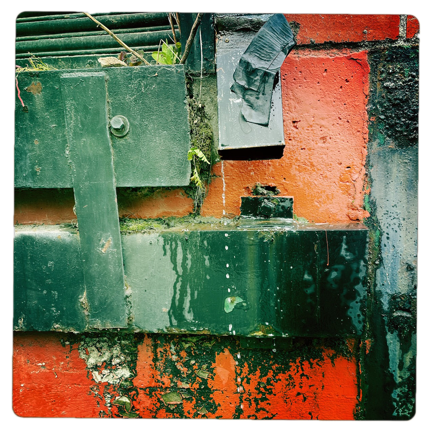Karen Palamos
“Thank You Richard”,
photography, 2026, 12˝ x 12˝
