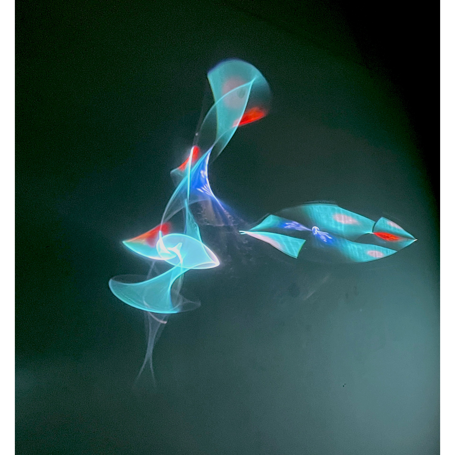 Therese Lahaie
“Crossing Signal Dervish”,
inkjet print on paper, 2022, 16˝ x 15˝
