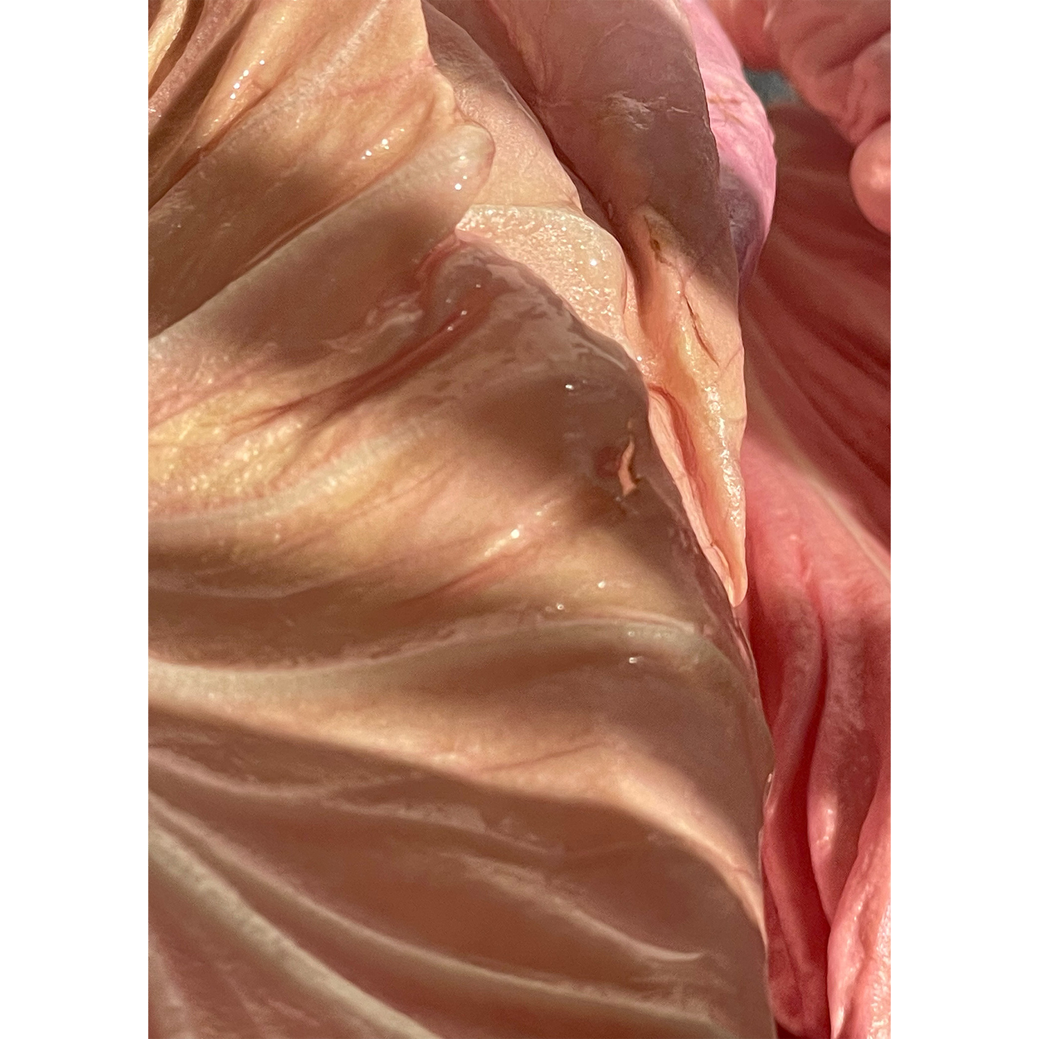 Emily Laughlin
“"Untitled" from the Fem/me series”,
photography, 2023, 7˝ x 5˝