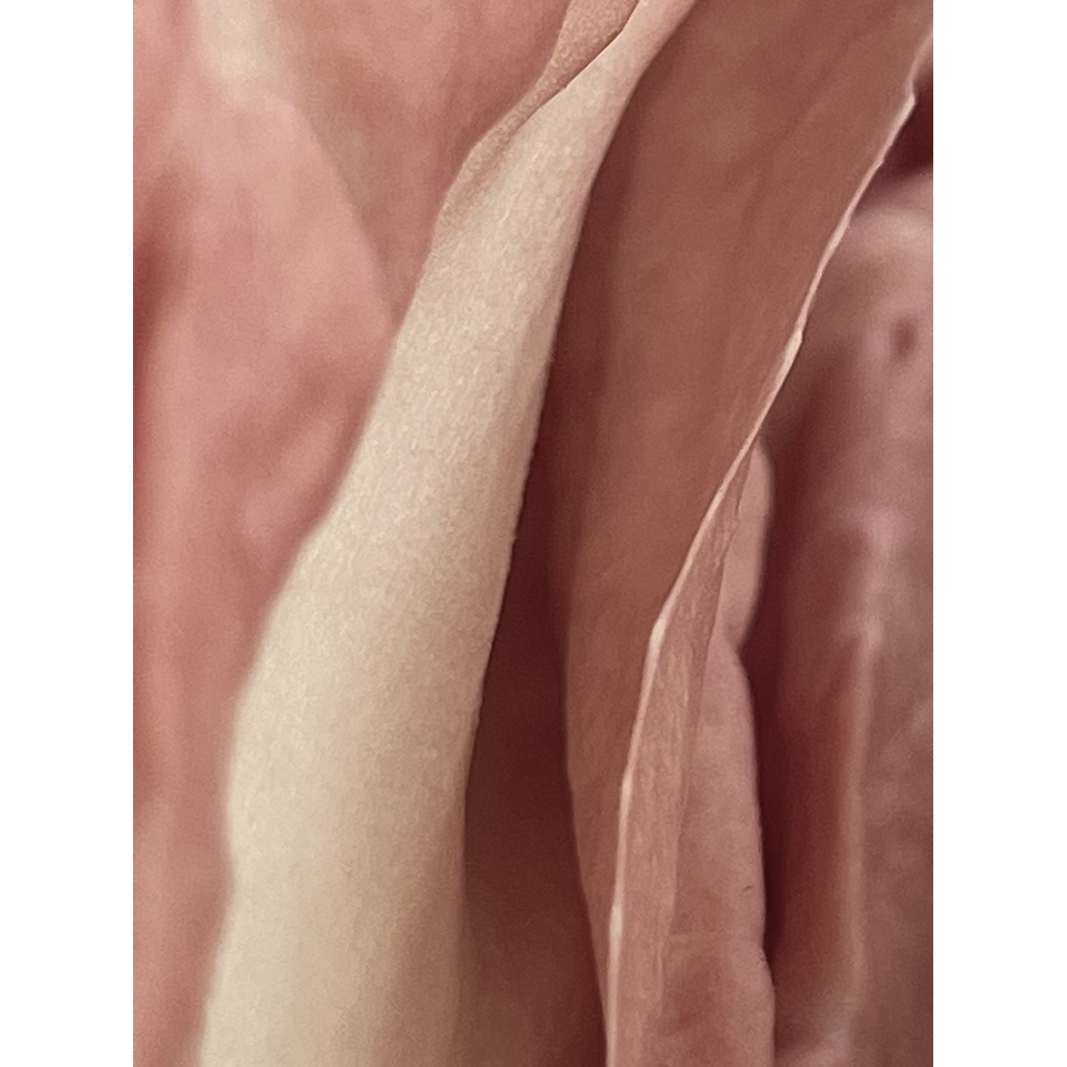 Emily Laughlin
“"Untitled" from the house show Fem/me”,
photography, 2023, 7˝ x 5˝