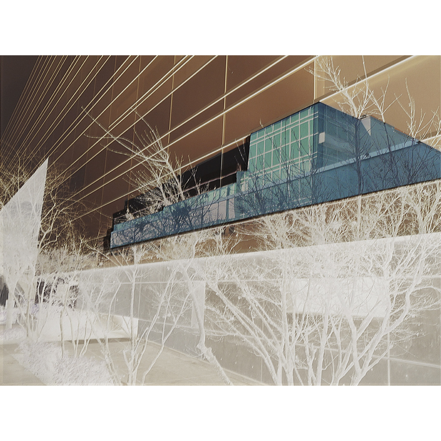 “Winter Reflection”, pigment print transfer on wood, 2025, 15˝x20˝x1/8˝