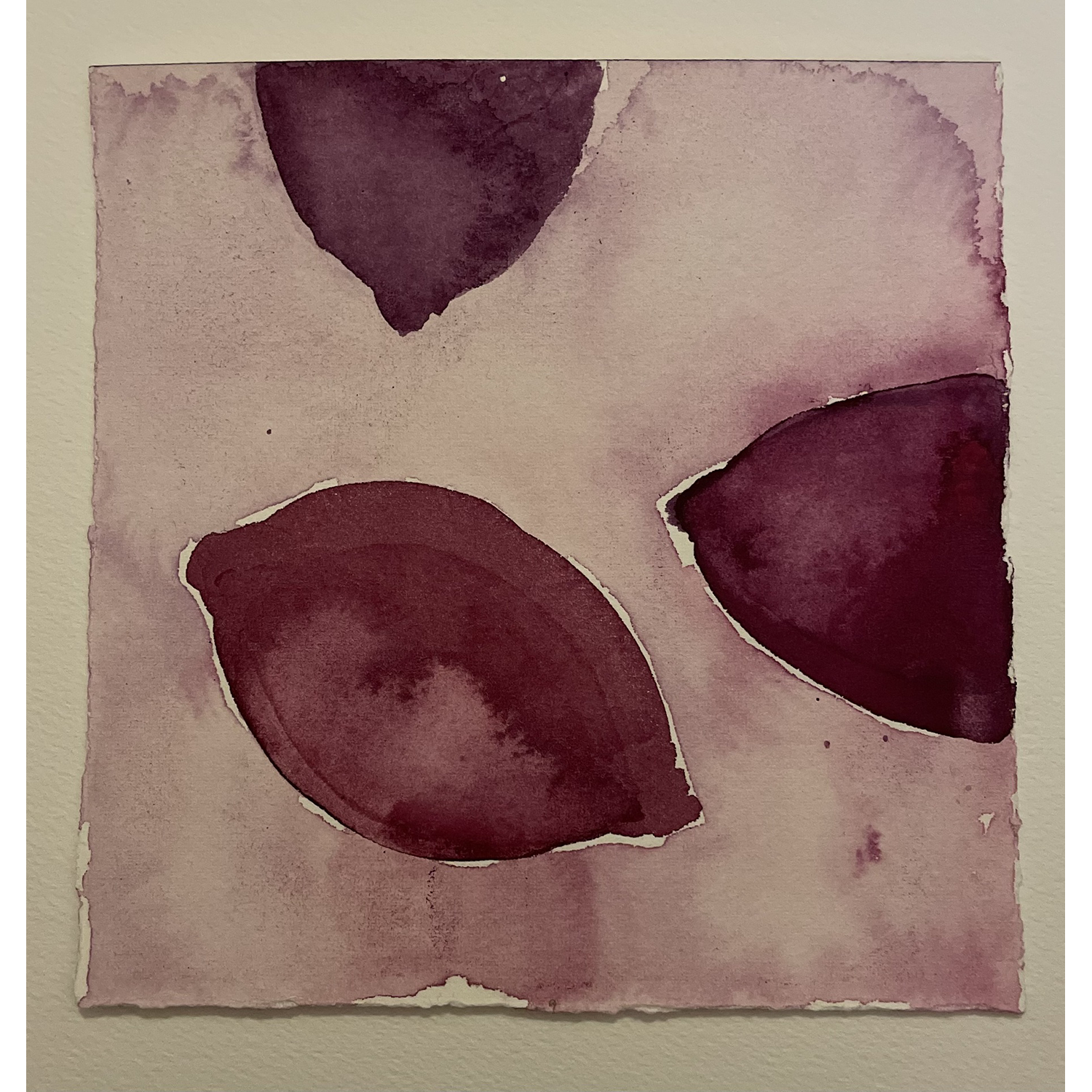 Michelle Ternus
“Purple Lemons 1”,
watercolor, 2022, 10˝ x 10˝
