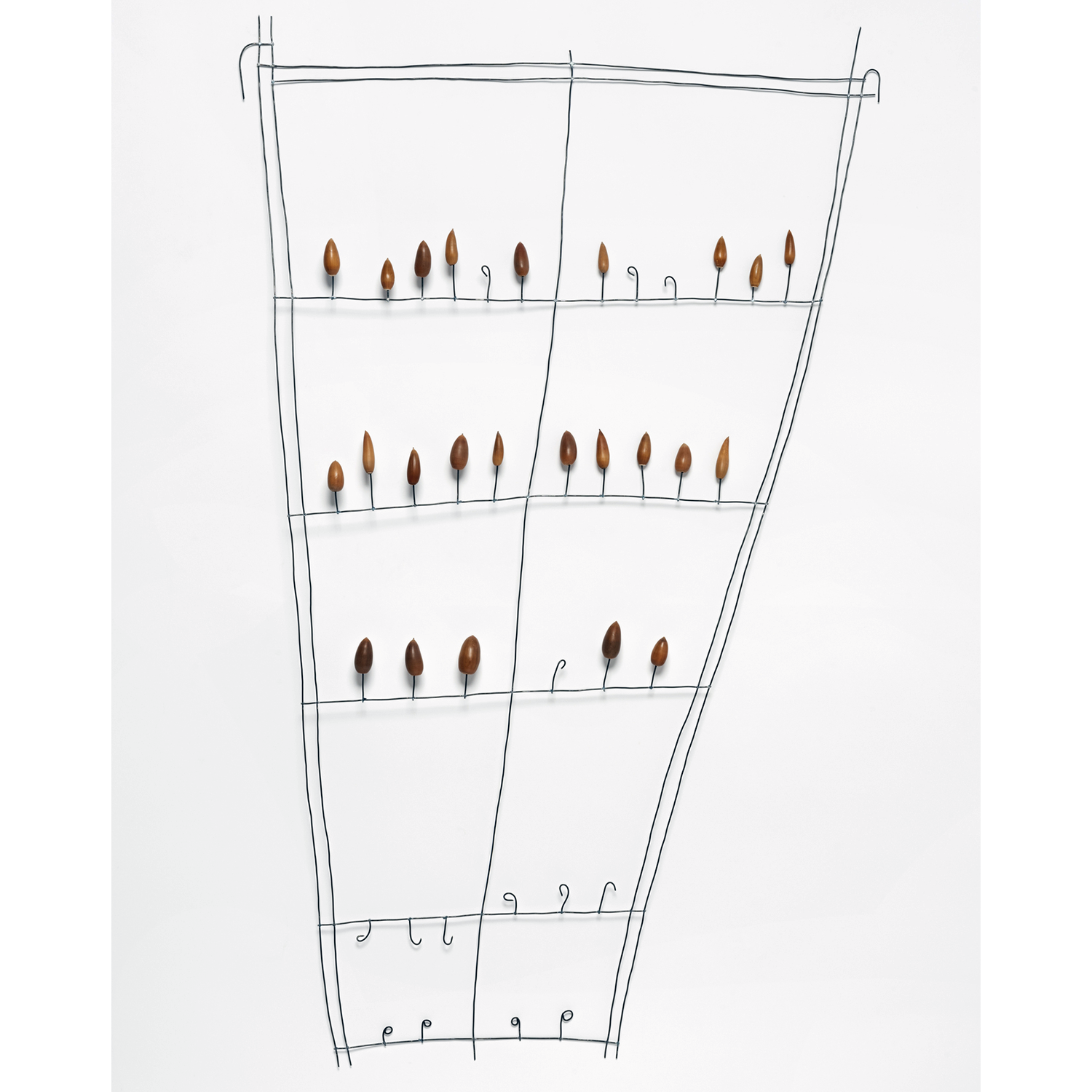 Mari Andrews
“Acorn Library”, 
steel wire, acorns, 2024, 40˝ x 25˝