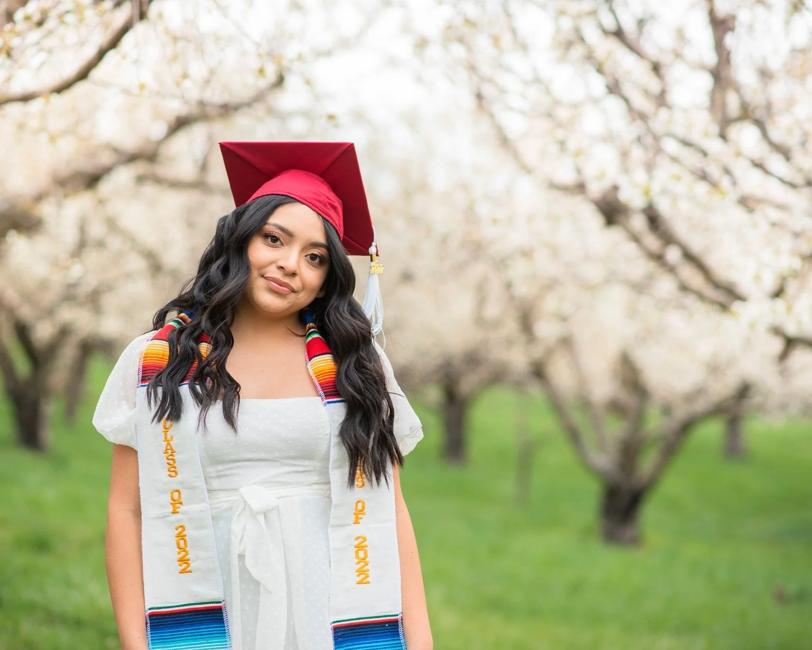 A woman wearing a white dress with a graduation sash and a graduation cap, standing in front of blooming trees with white flowers, outdoors on a bright day. Senior Photos, Idaho graduation, Burley Idaho Photographer