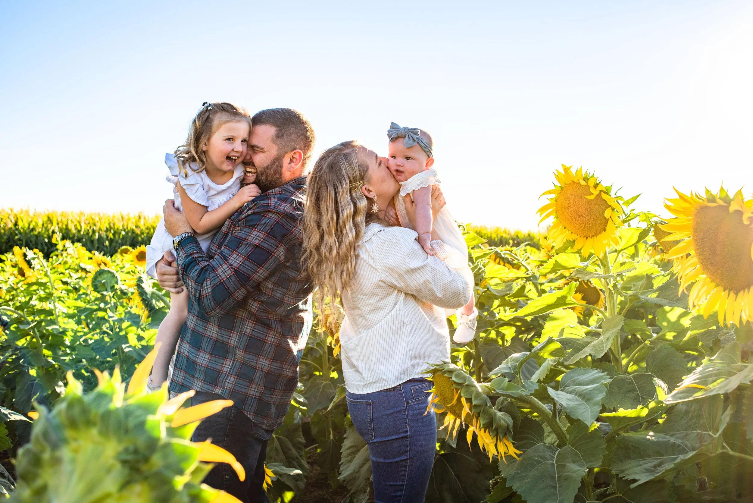 Family of four in a sunflower field, enjoying nature and each other's company, with clear blue sky above. Declo Sunflower fields, Burley Photographer, Family Photos, Moments, Southeastern Idaho photographer 