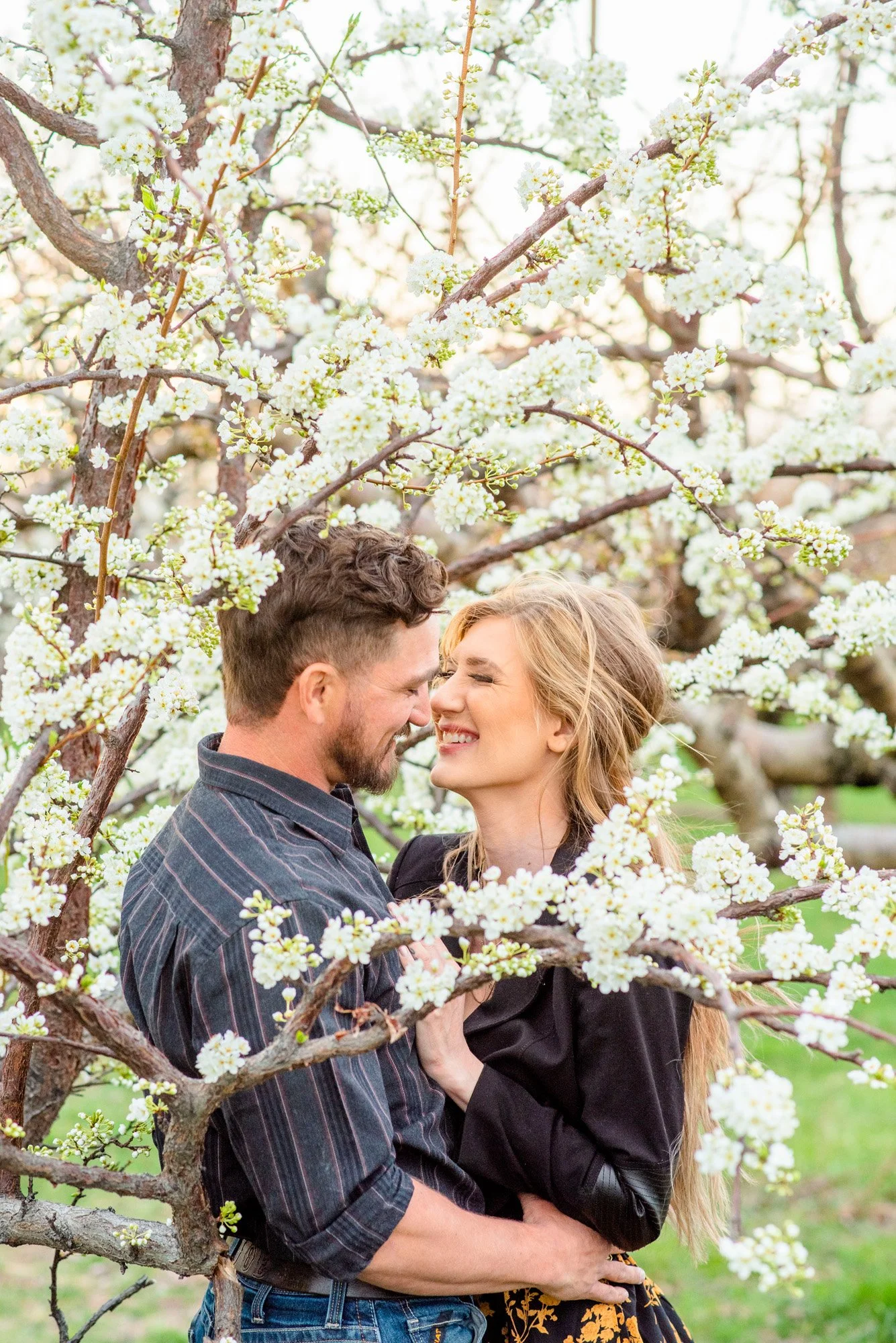 Couple-cherry-blossoms-flowers-Spring-photo-session-candid-Emmett-Idaho-Photographer.jpg