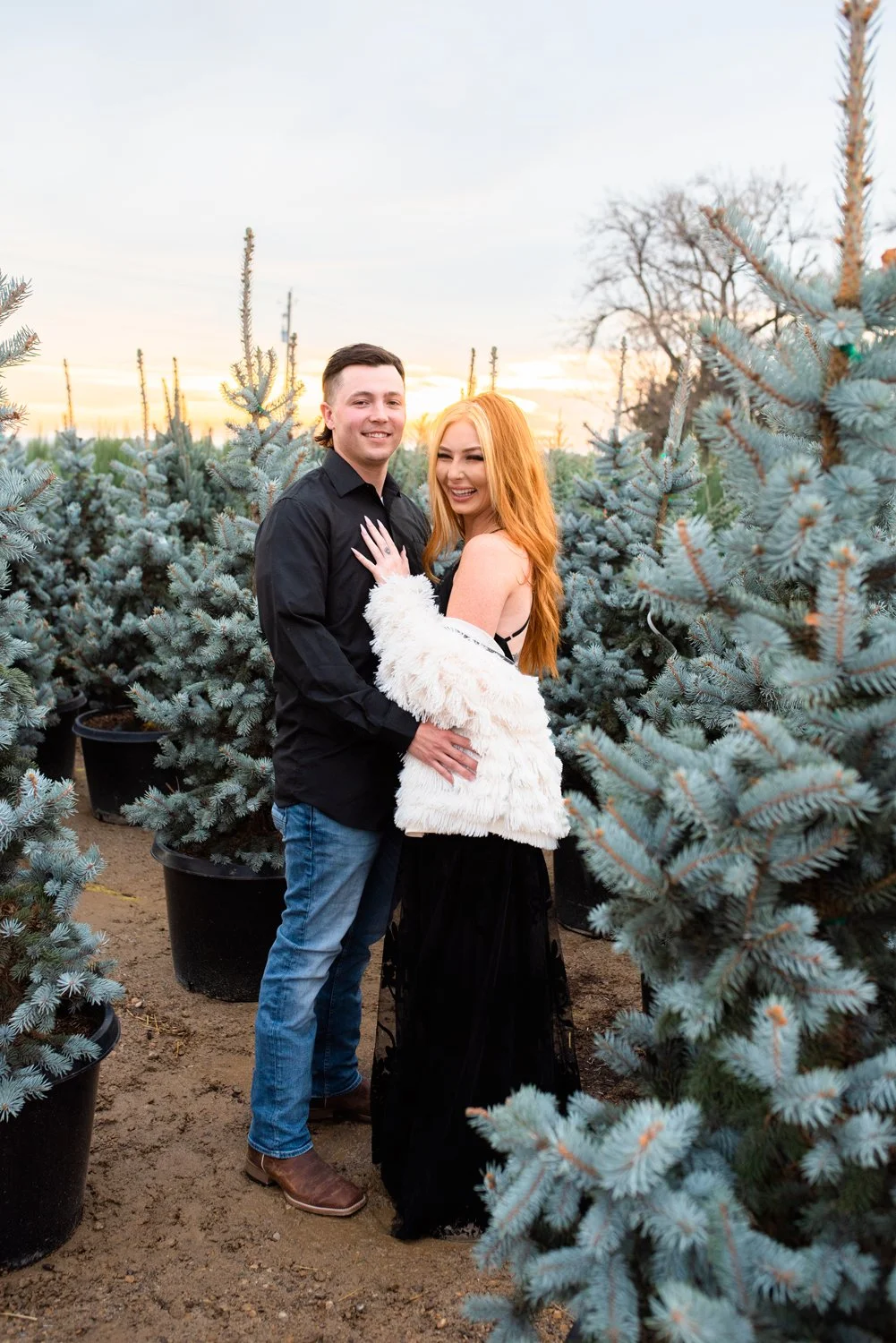 A smiling couple standing among potted blue spruce Christmas trees during sunset at a tree farm.
