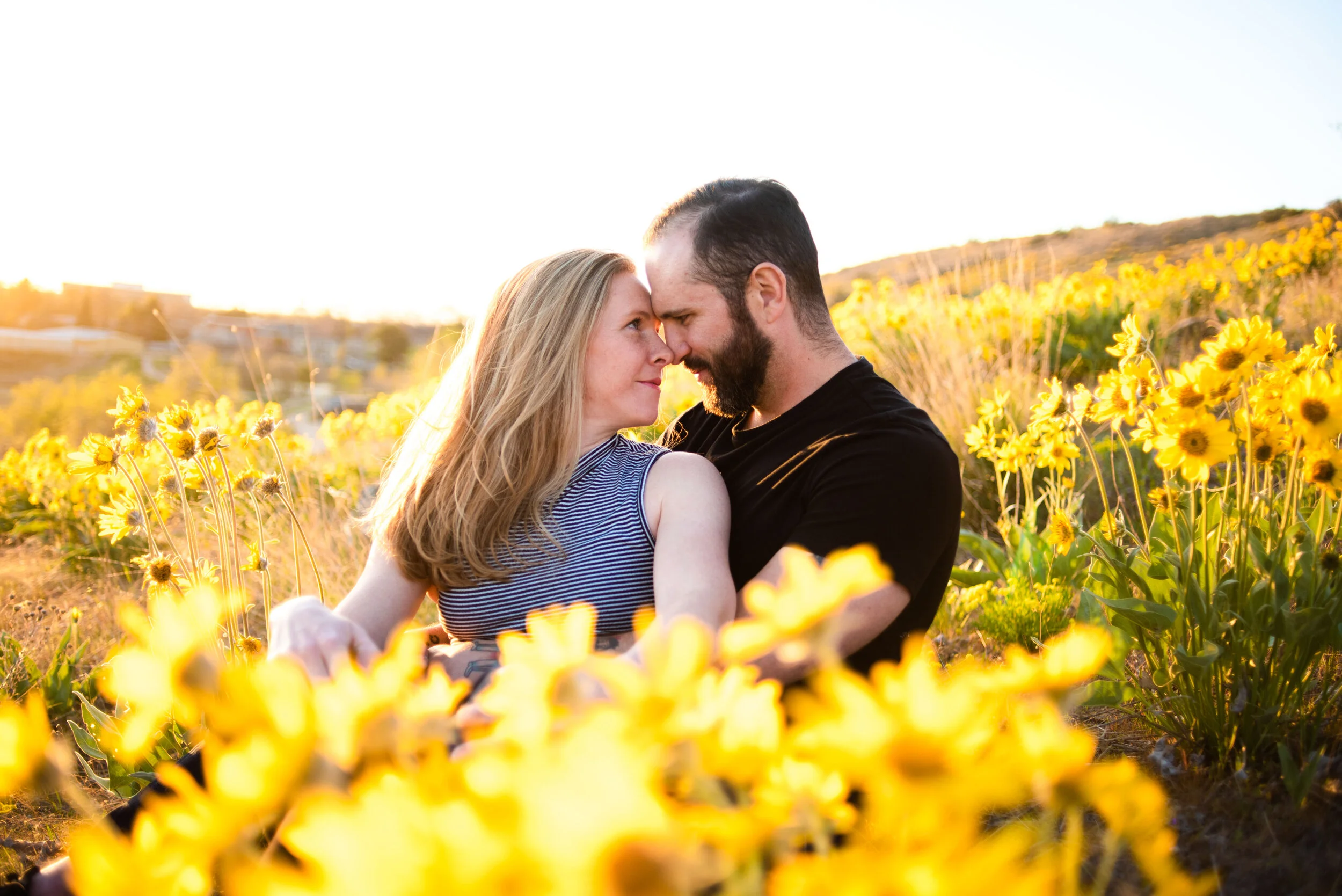 A couple stands close together in a field of yellow flowers during sunset, touching foreheads tenderly.