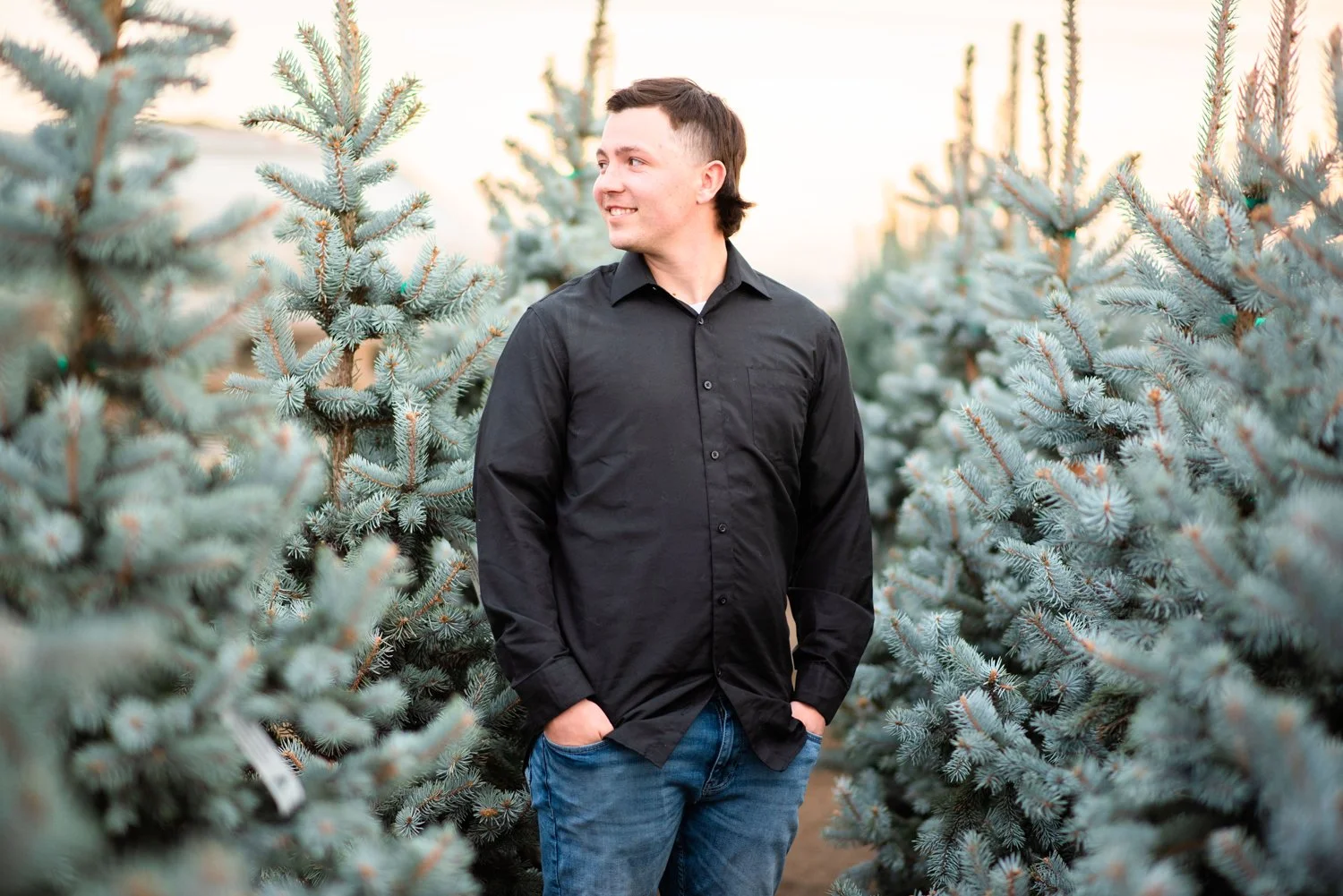 A young man in a black shirt and jeans stands in a Christmas tree lot, surrounded by blue-green pine trees.