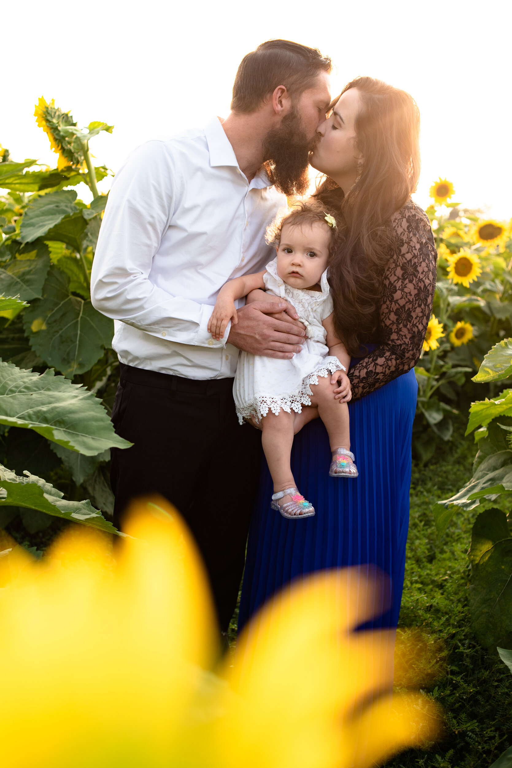A couple sharing a kiss in a sunflower field, holding a young girl in their arms, with sunlight in the background and sunflowers around them.