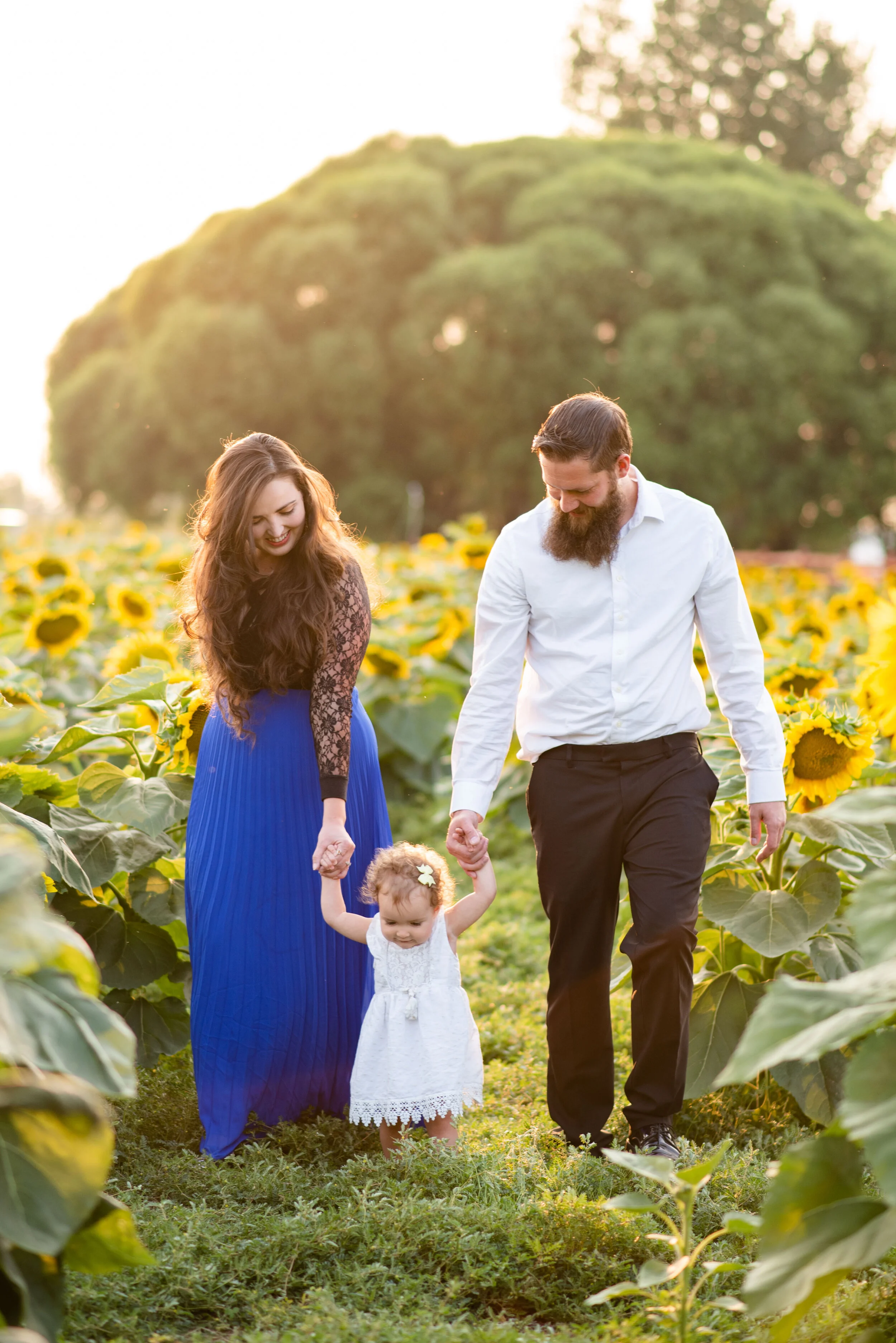 A smiling family of two adults and a young girl walking hand-in-hand through a sunflower field during sunset, with large green trees in the background.