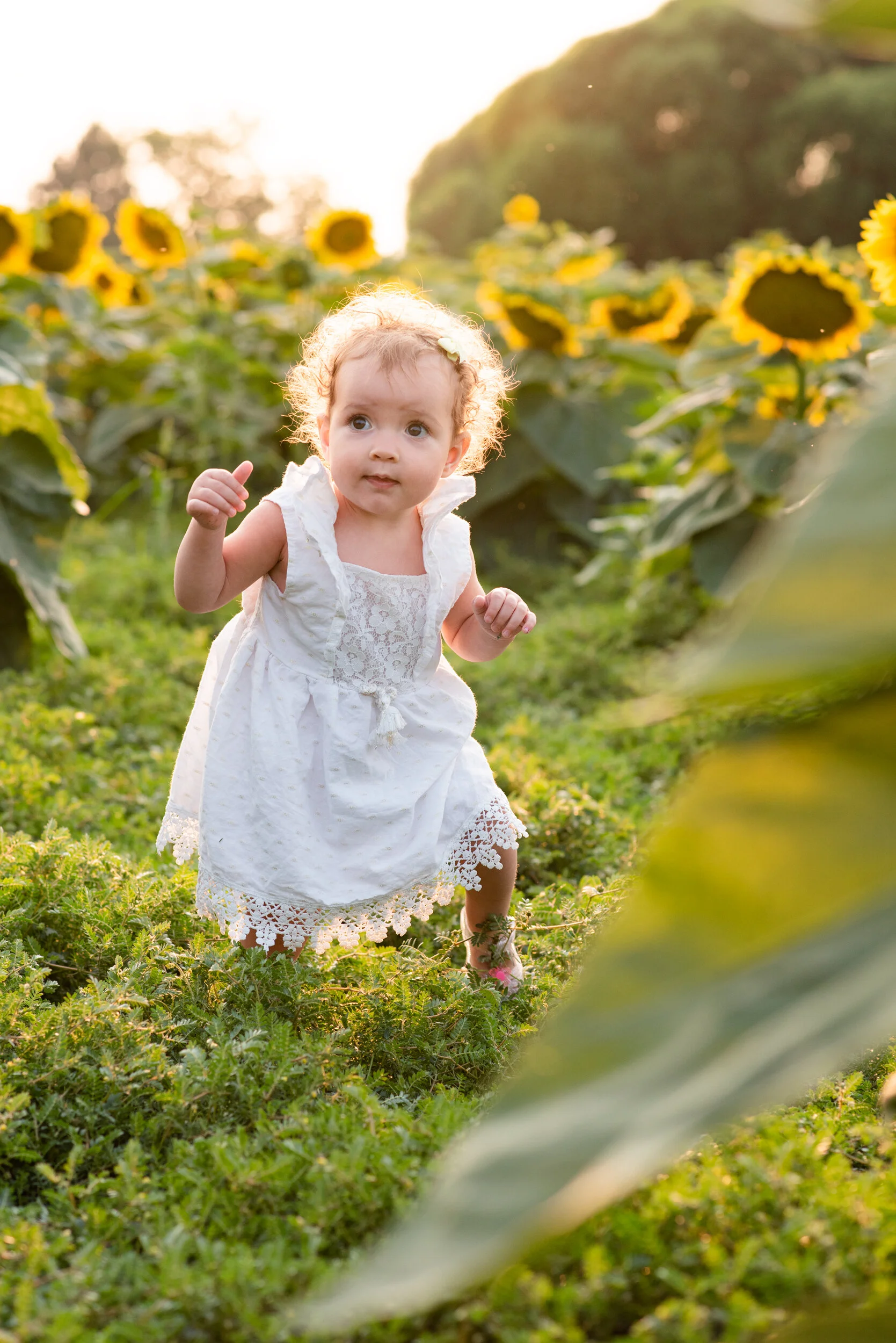 Young girl in a white dress running through a sunflower field during golden hour, with sunlight shining overhead.