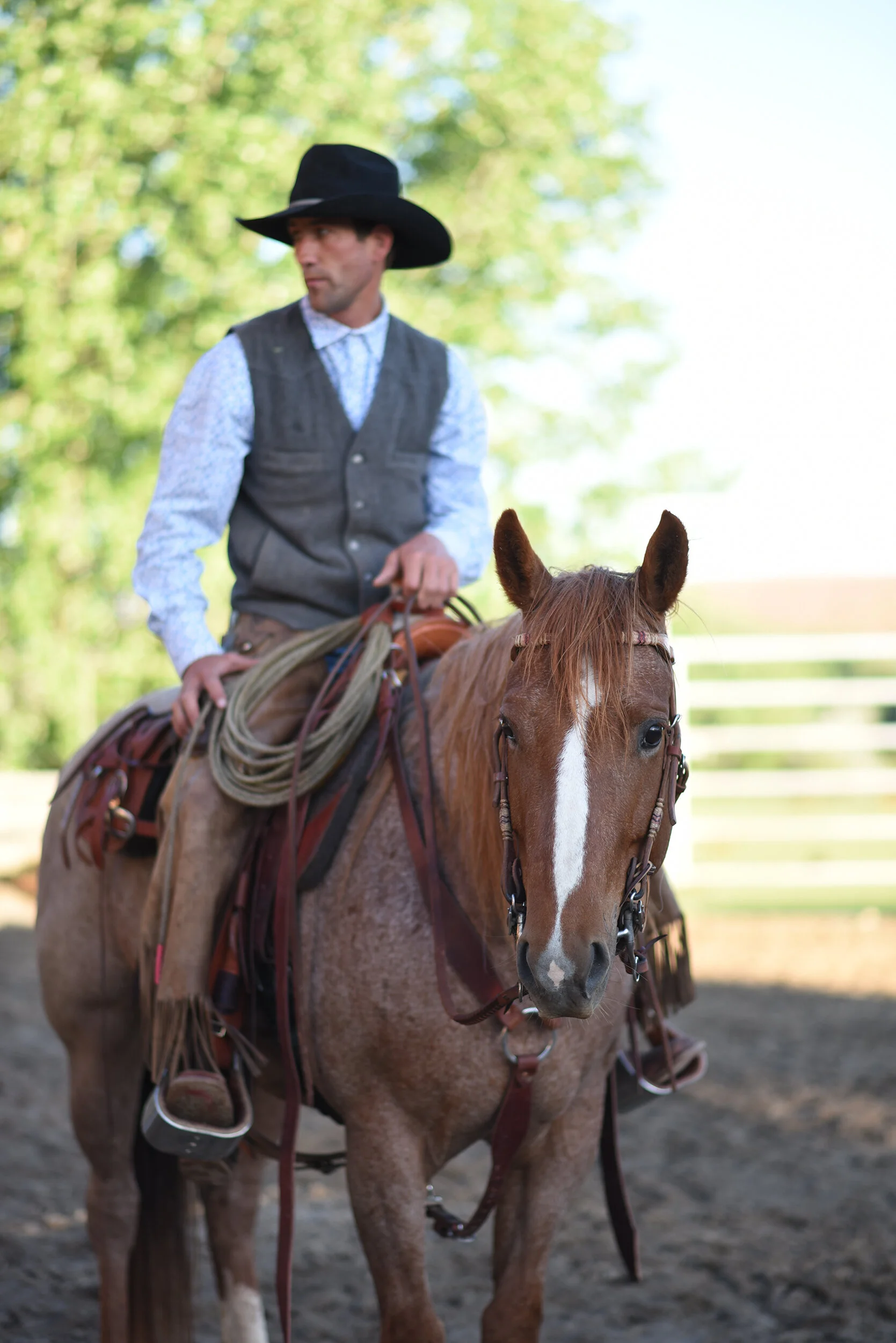 Lifestyle-Horses-Cowboy-saddle-western-reins-details-photography-Wyoming.jpg