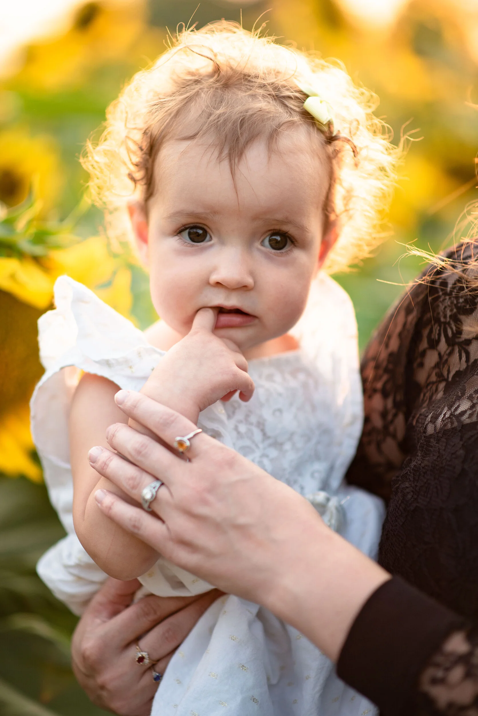 A young girl with curly blonde hair, wearing a white dress, holding her finger to her mouth, being gently held by an adult with multiple rings on their fingers. The background features a blurred field of yellow flowers and warm sunlight.