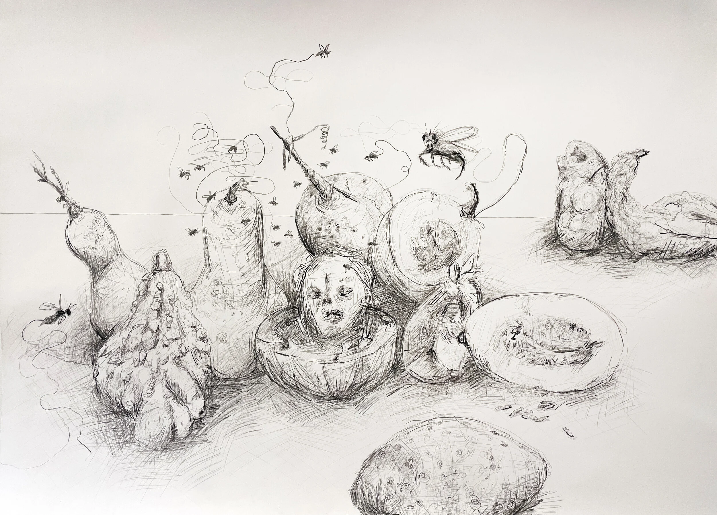 Courges pourries, 2021