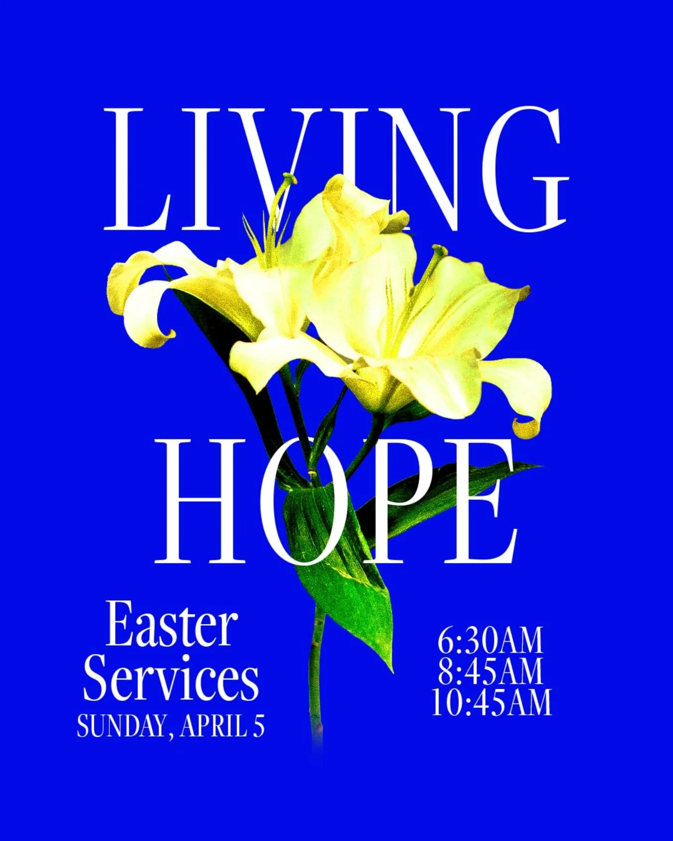 Join us this Resurrection Sunday as we celebrate the hope and victory of Jesus.

April 5, 6:30am | Sunrise Service (Amphitheater)
A meaningful outdoor tradition&mdash;bring chairs, blankets, and the whole family.
April 5, 8:45am &amp; 10:45am | Worsh