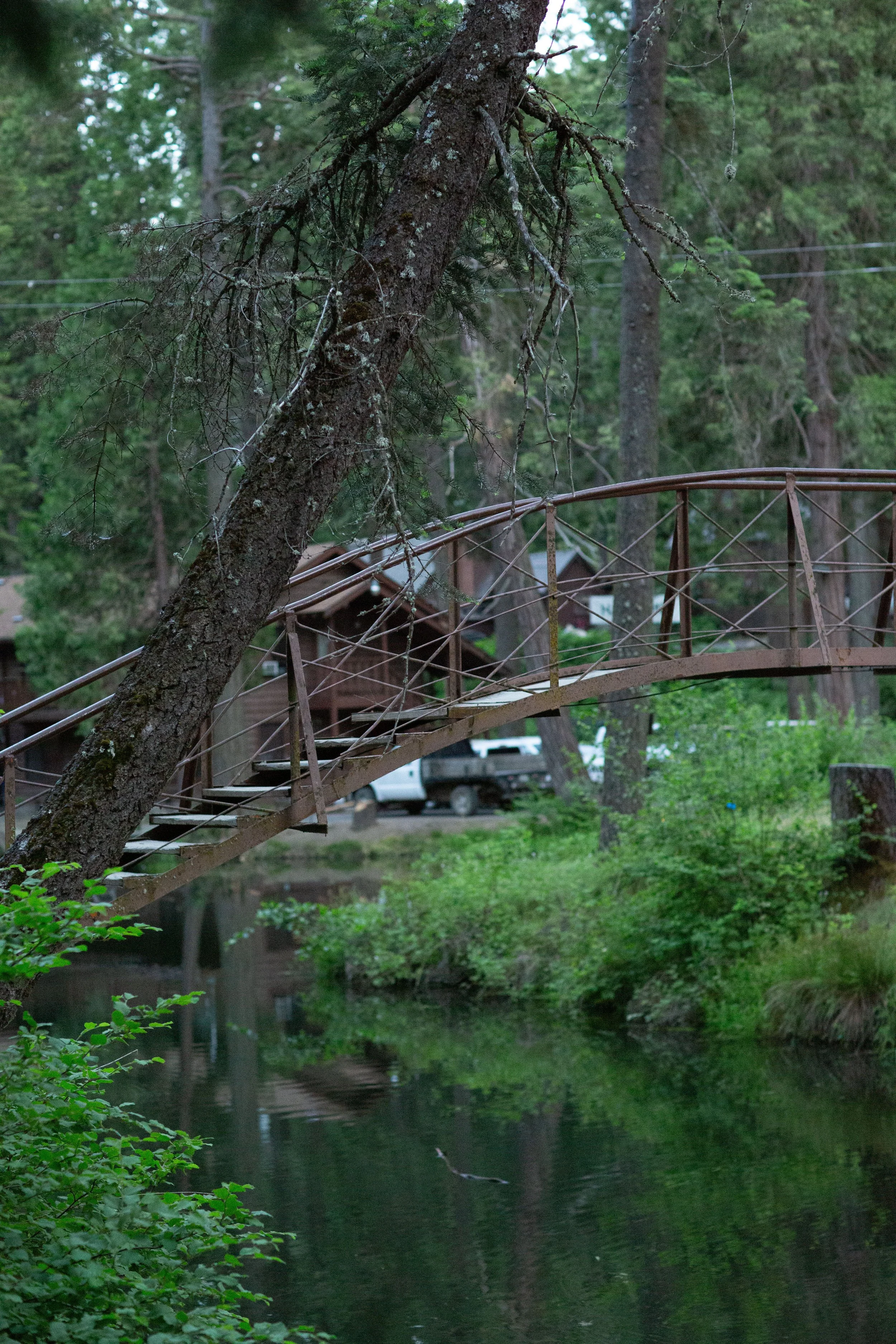 1H6A0365.jpg