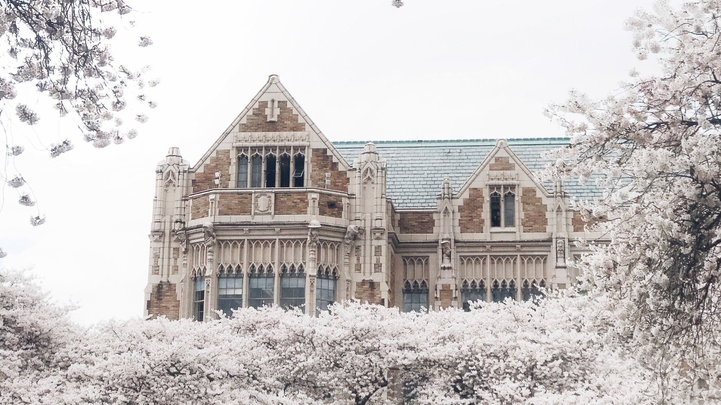 Local Chess Clubs — Chess Enrichment Association