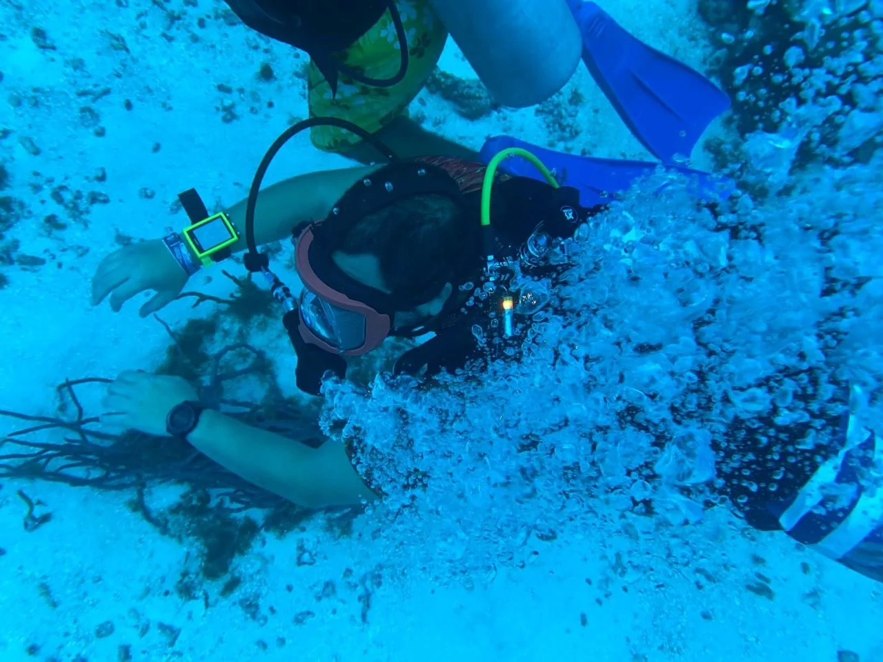 Person scuba diving underwater, wearing a wetsuit, mask, and snorkel, exploring the ocean floor with coral and marine life.