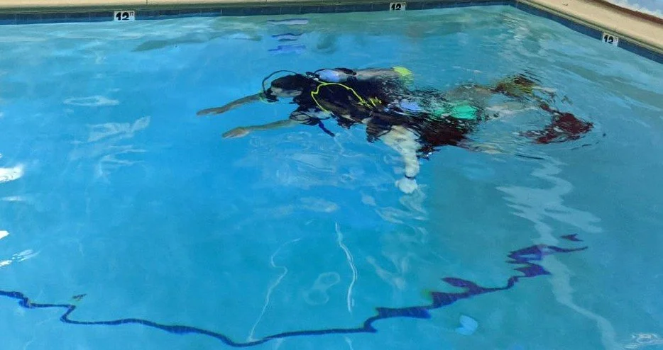 Person in black wetsuit floating face down in a swimming pool with a snorkel and fins.