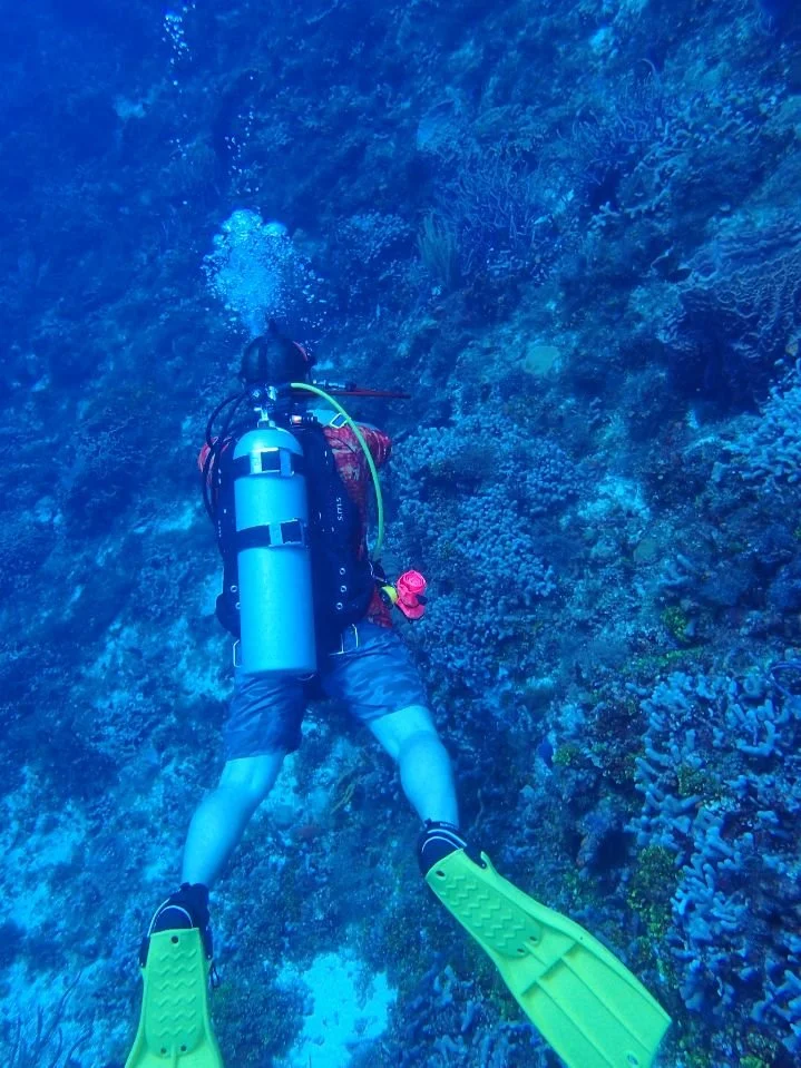 Scuba diver in wetsuit with yellow fins exploring coral reef underwater.