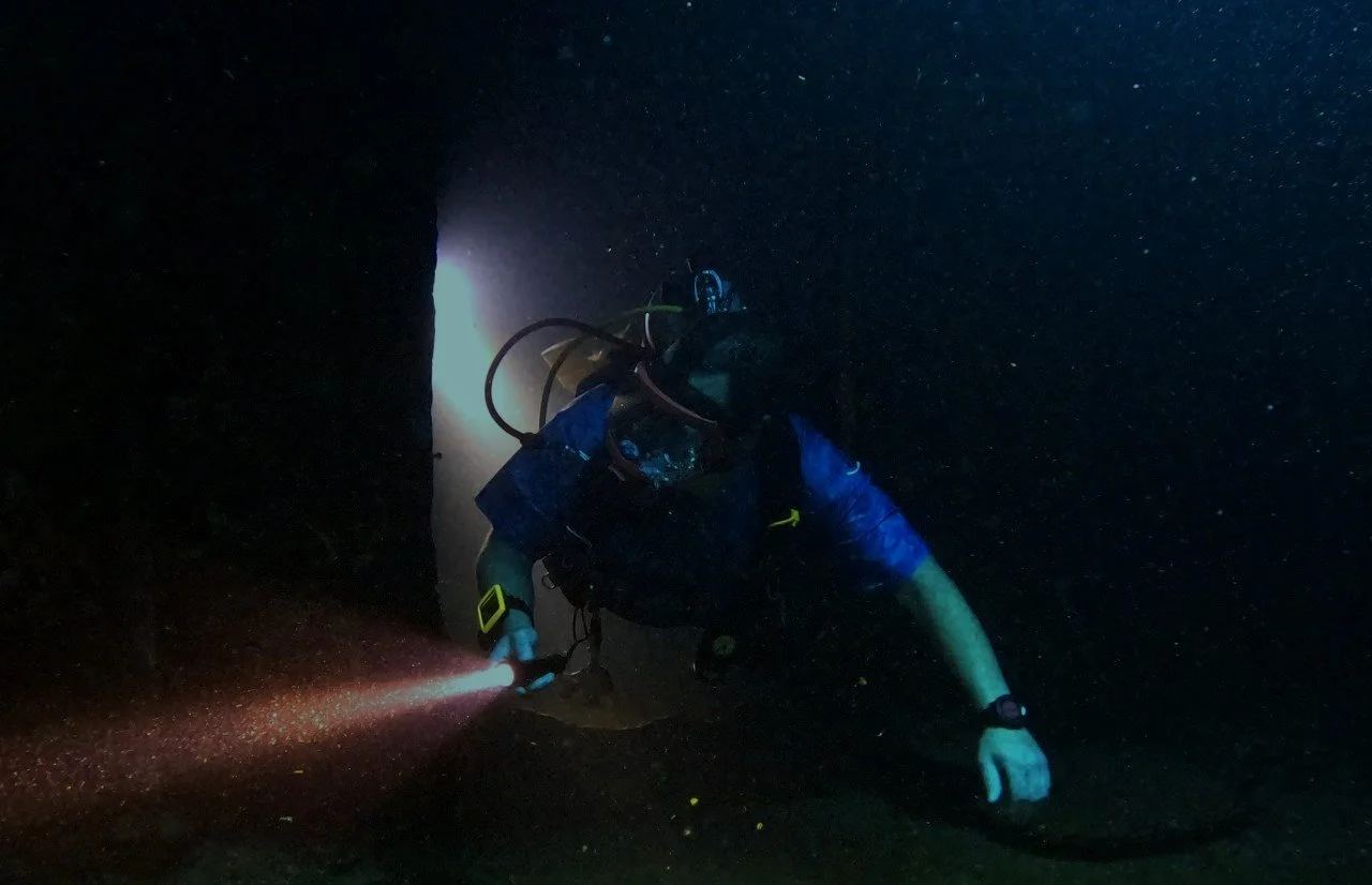 An underwater diver exploring in low light, wearing a wetsuit and using a flashlight.