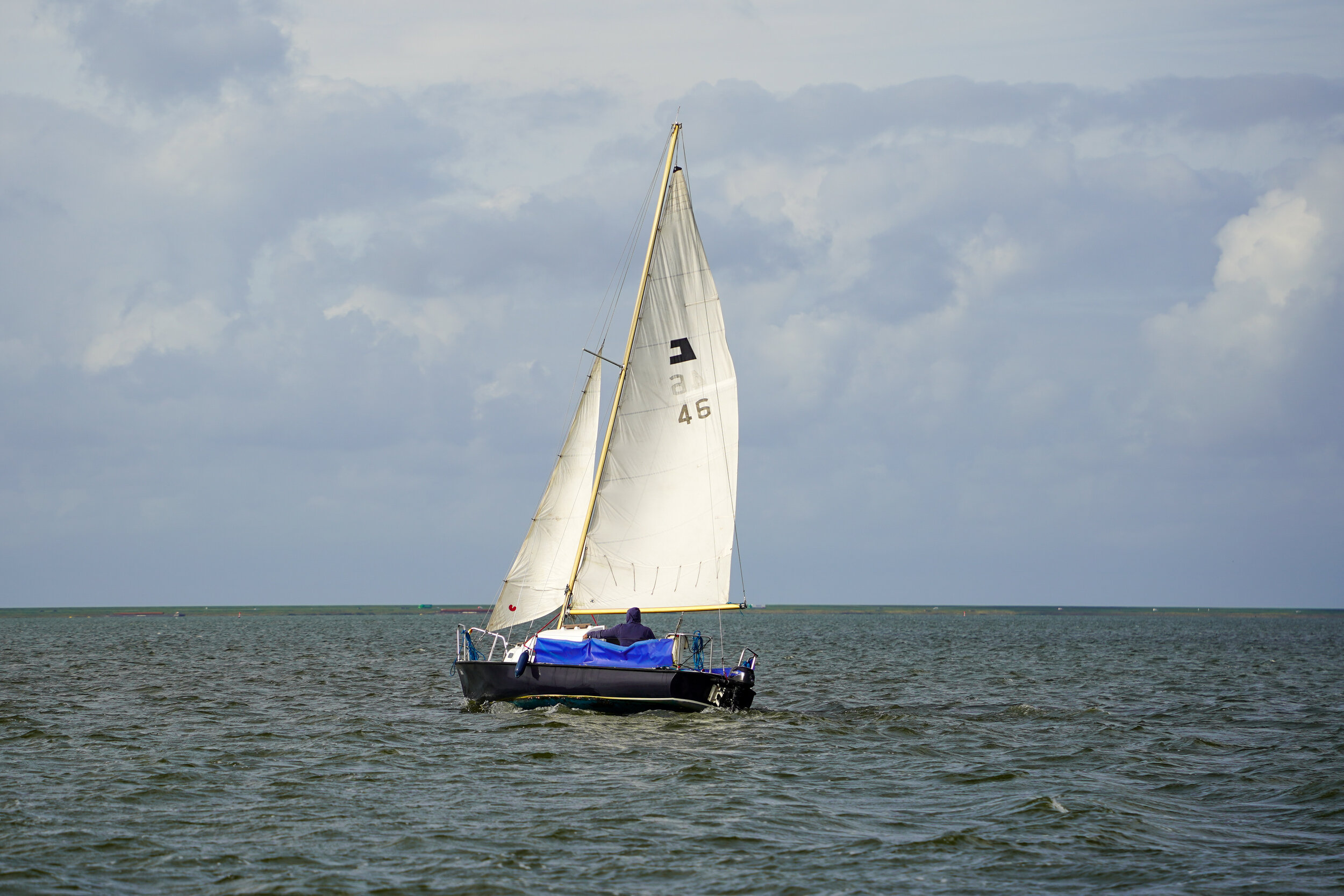 DSC01949.jpg