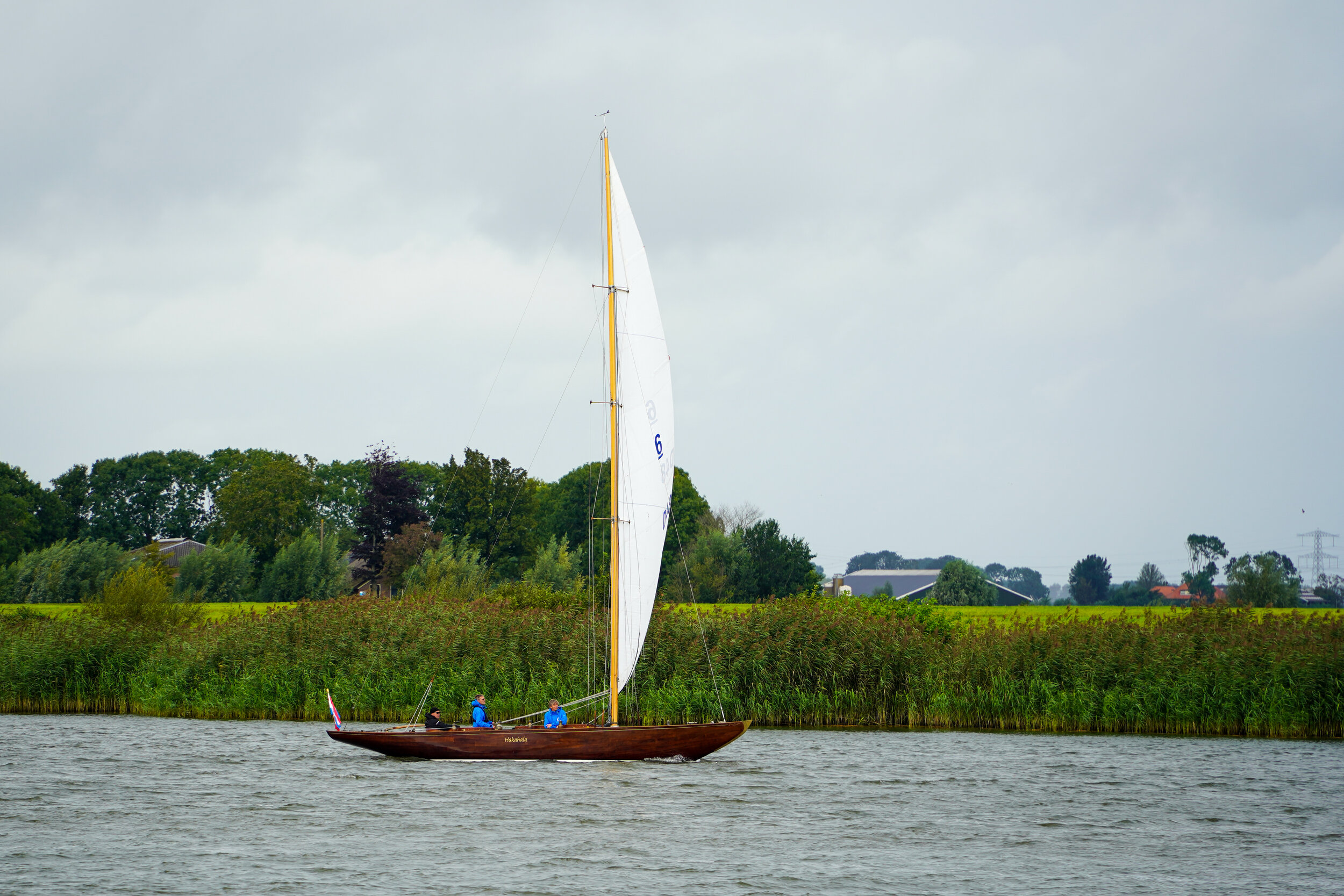 DSC02133.jpg