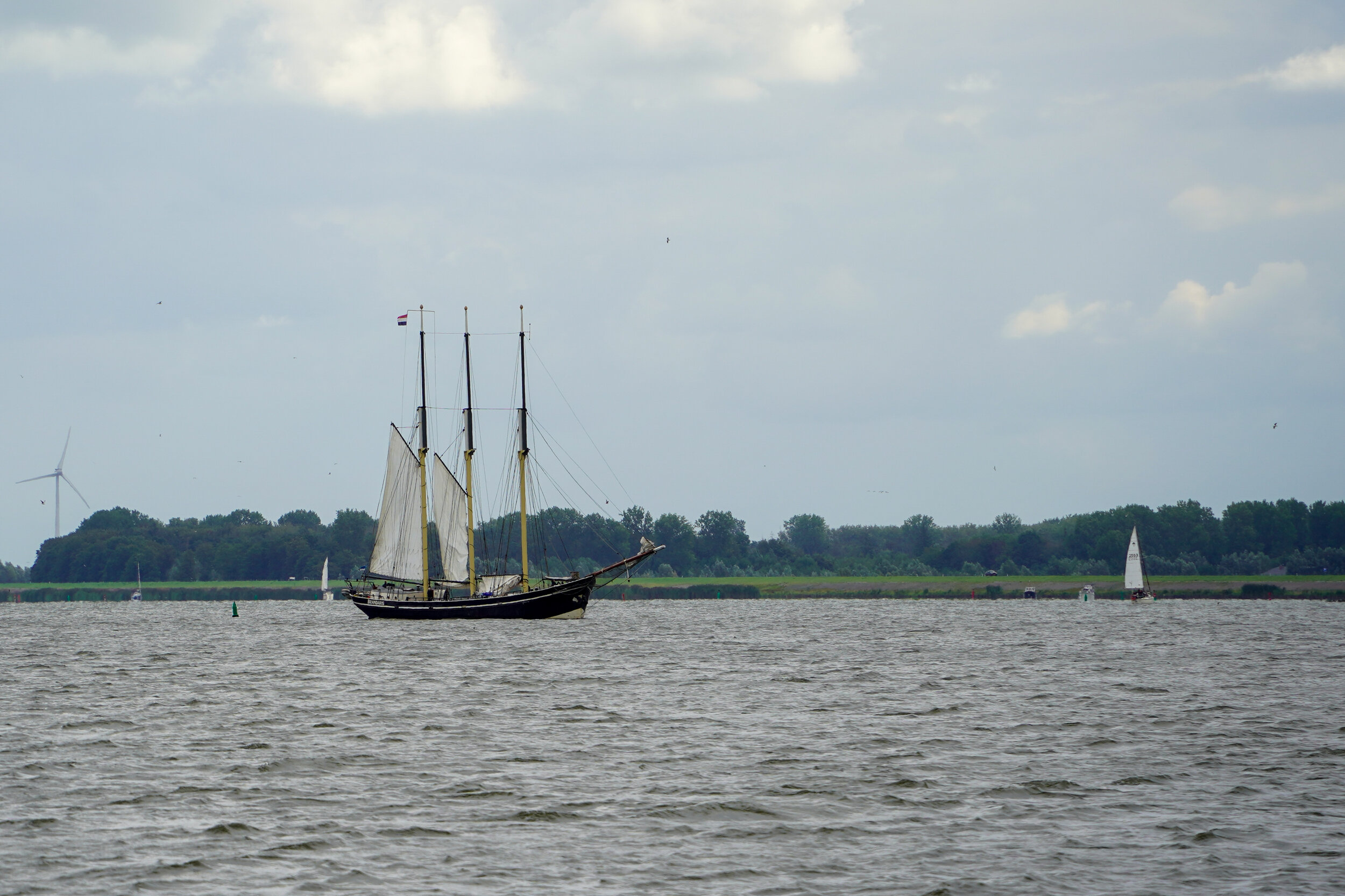 DSC02079.jpg