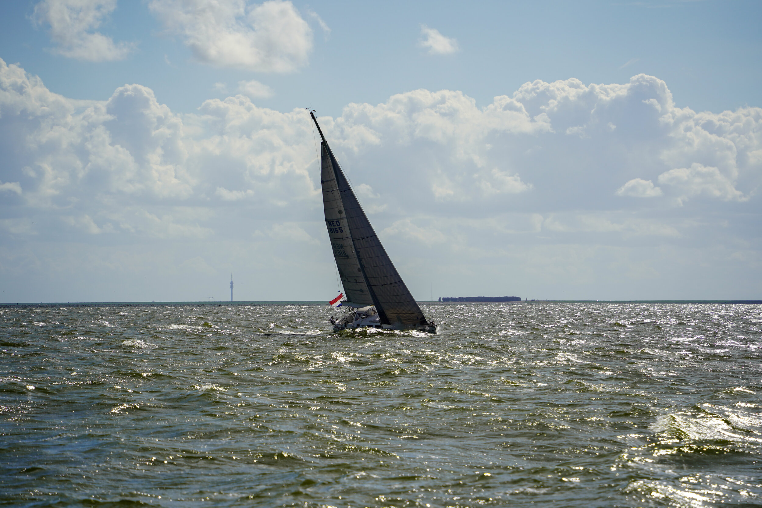 DSC02041.jpg