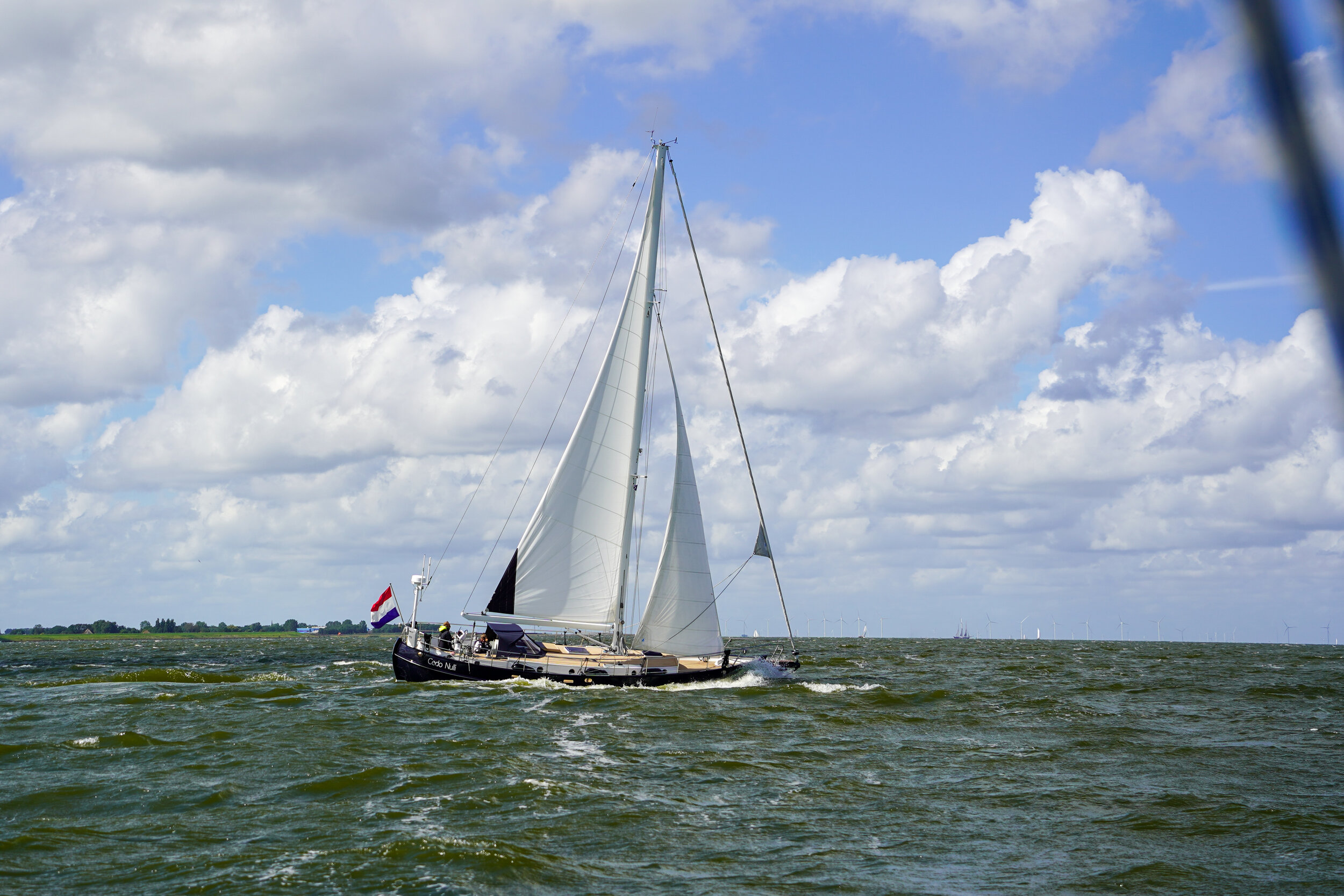 DSC02031.jpg