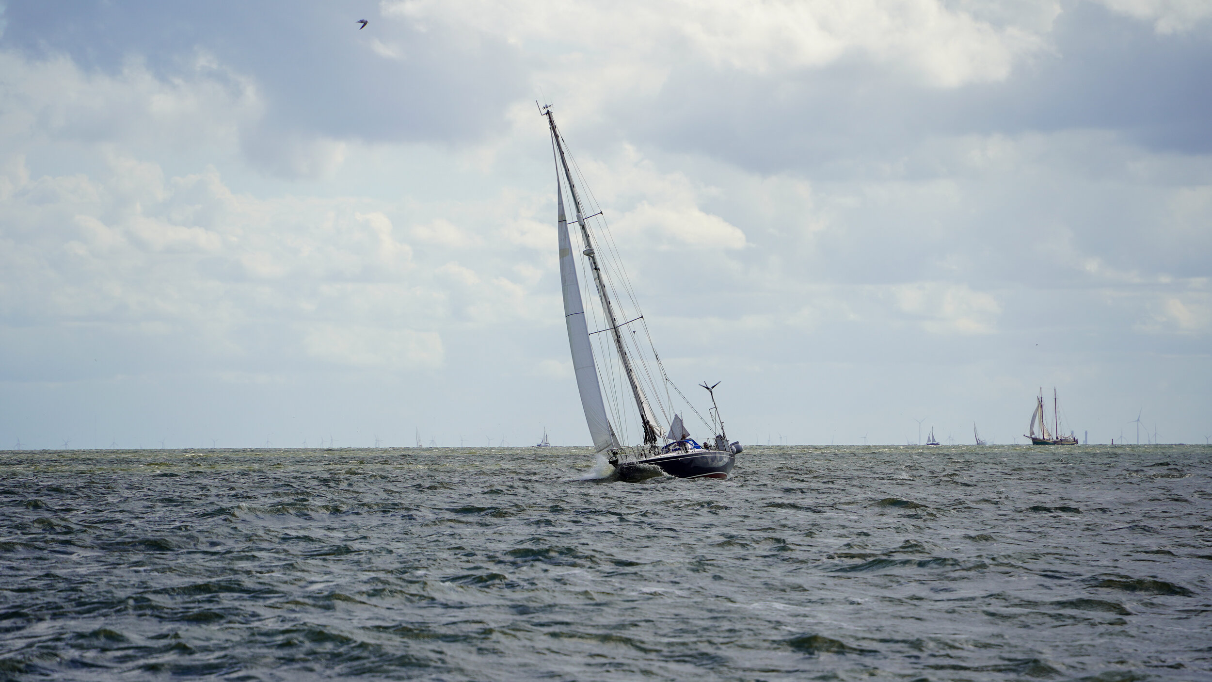 DSC02014.jpg