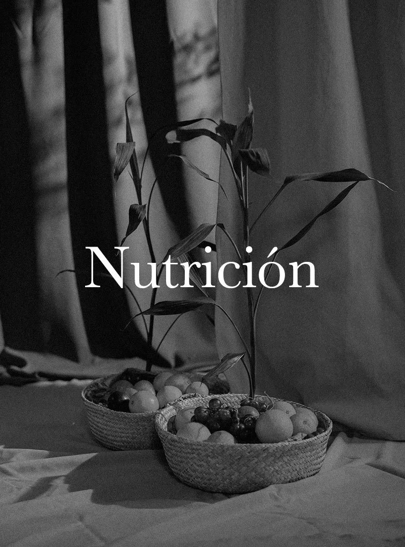nutricion.jpg