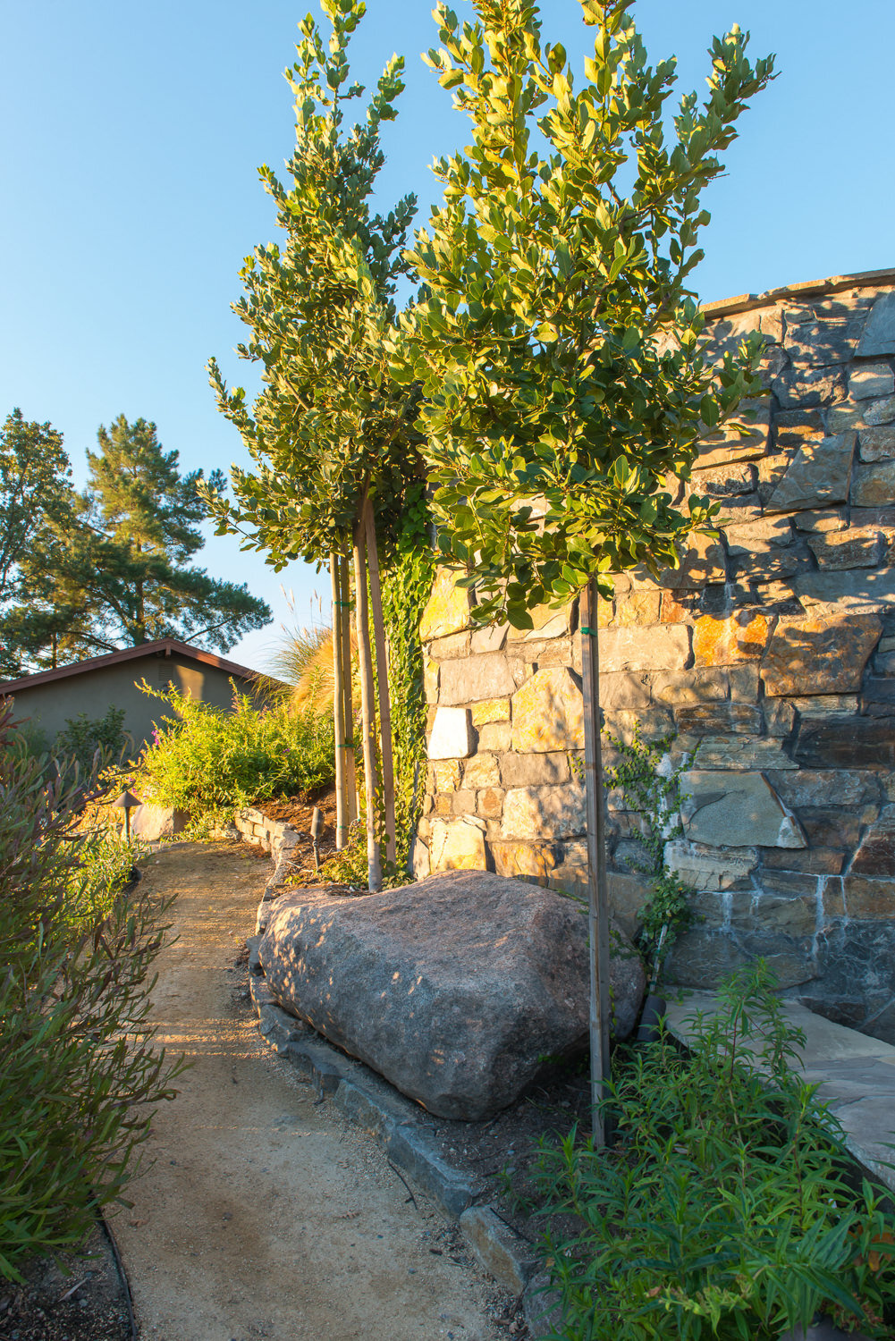 MTebb_AlamoPool_Oct2013_2656.jpg