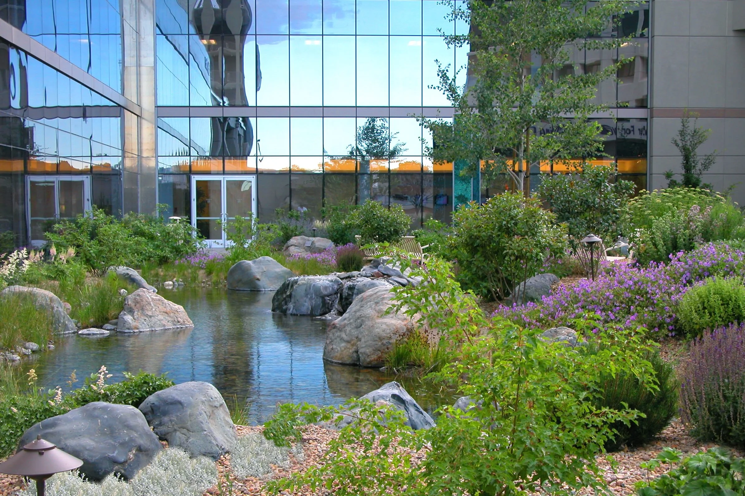 6 - Cropped & Color Fixed - DSCN6269.jpeg