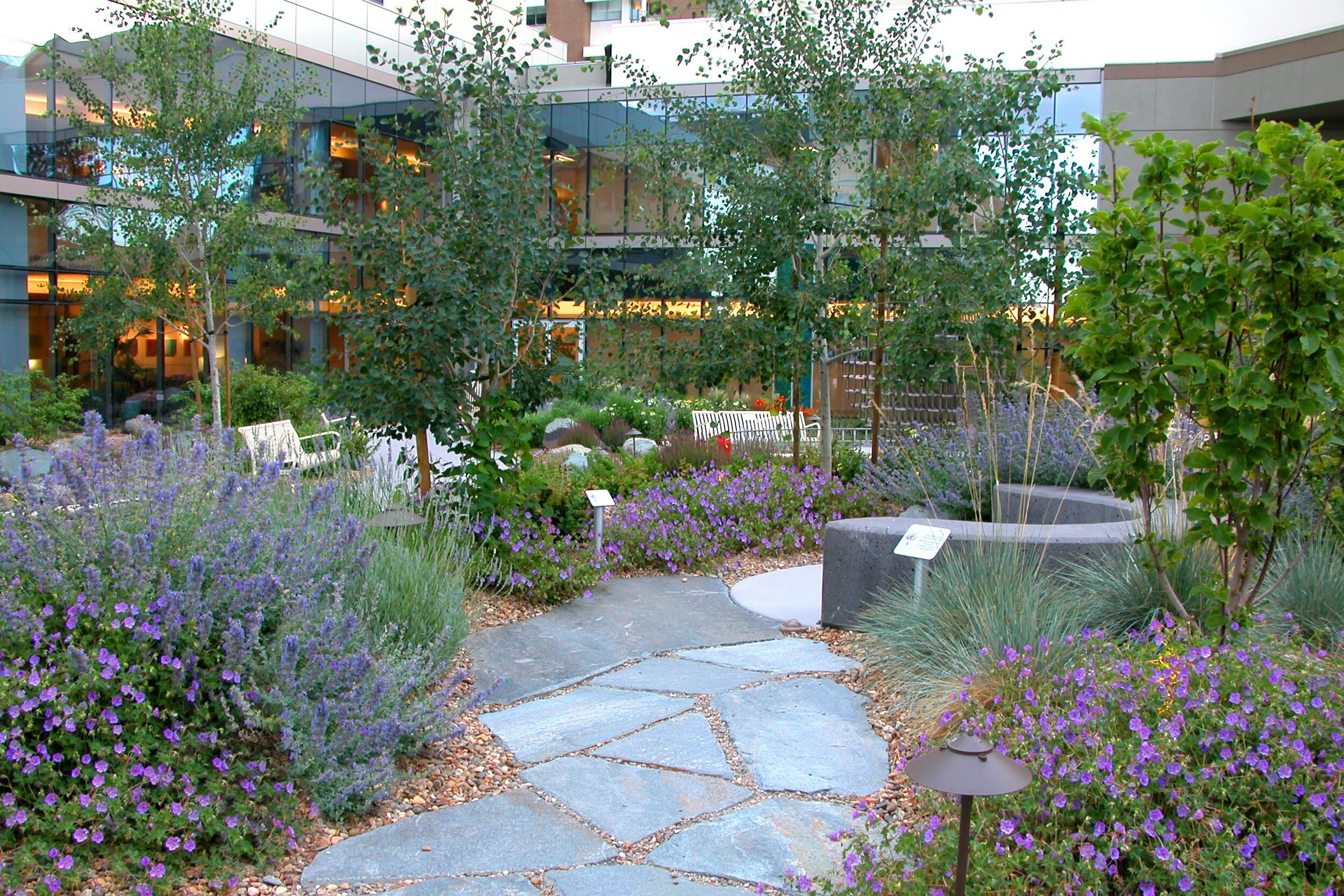 7 - Cropped & Color Fixed - DSCN6305.jpeg