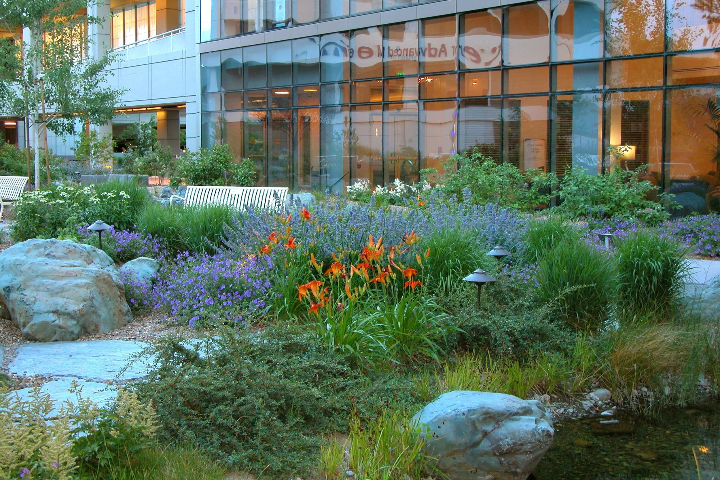 13 - Cropped & Color Fixed - DSCN6401.jpeg