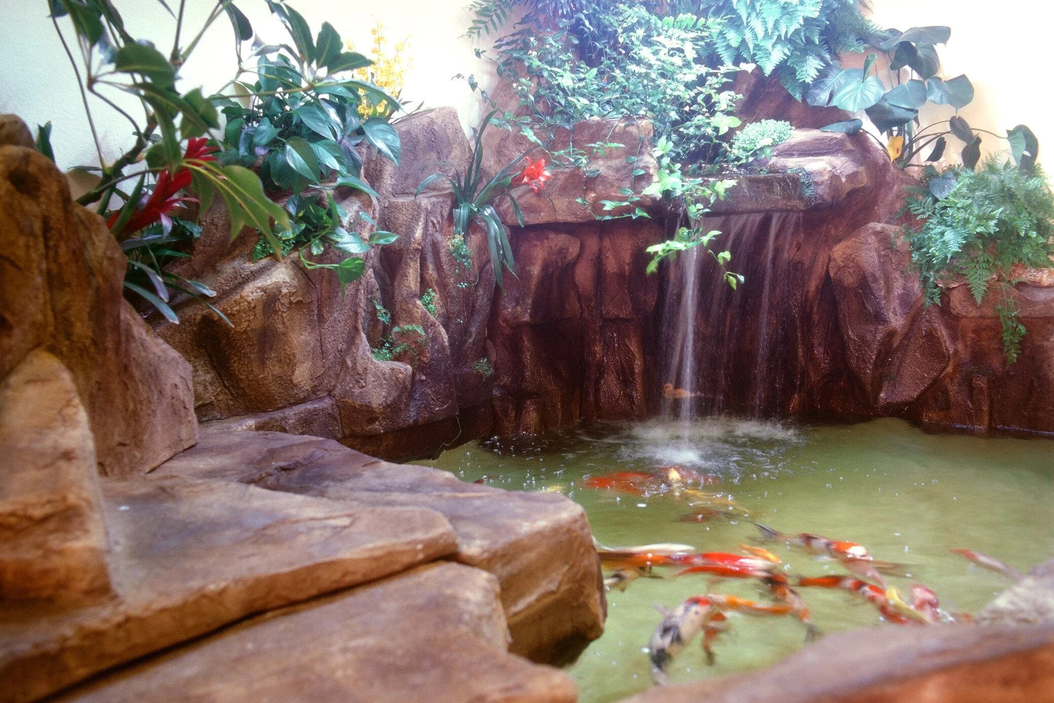 4 - Cropped & Color Fixed - rescan negative - 00060004.jpeg