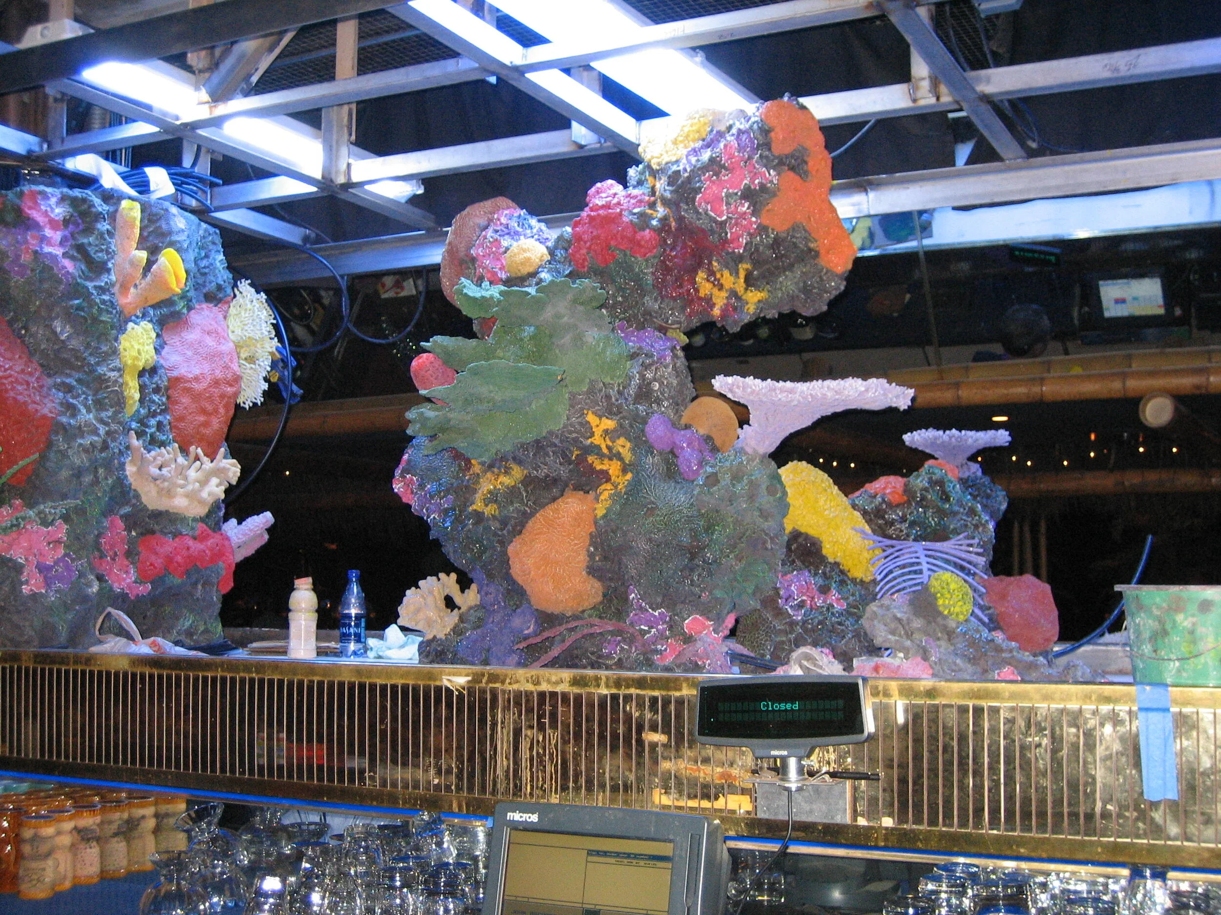 29 - Nugget IMG_0365.JPG