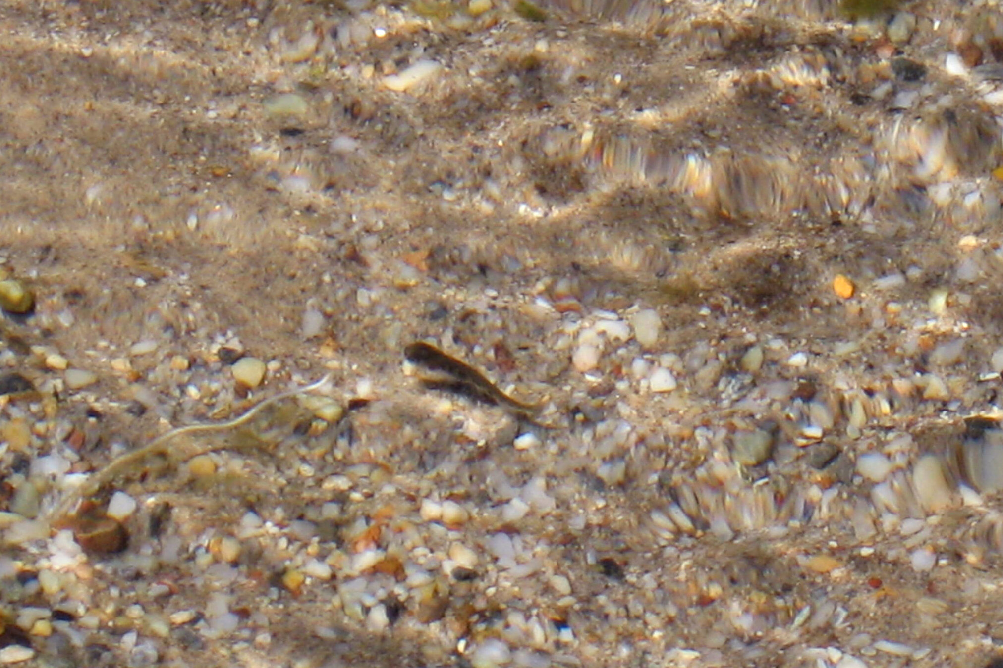23 - Cropped & Color Fixed - IMG_4578.jpg